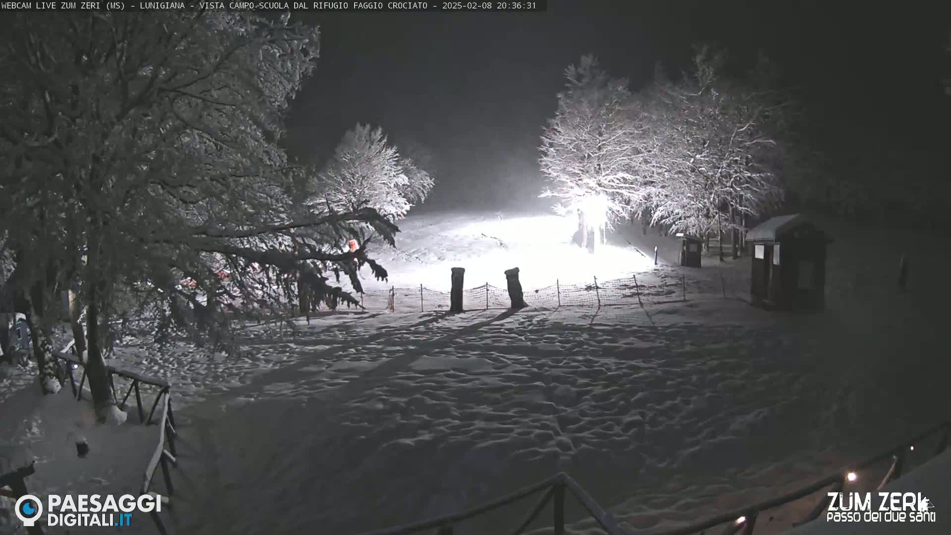 A snow-covered landscape at night, illuminated by artificial light, shows trees and a small building under a snowy sky.