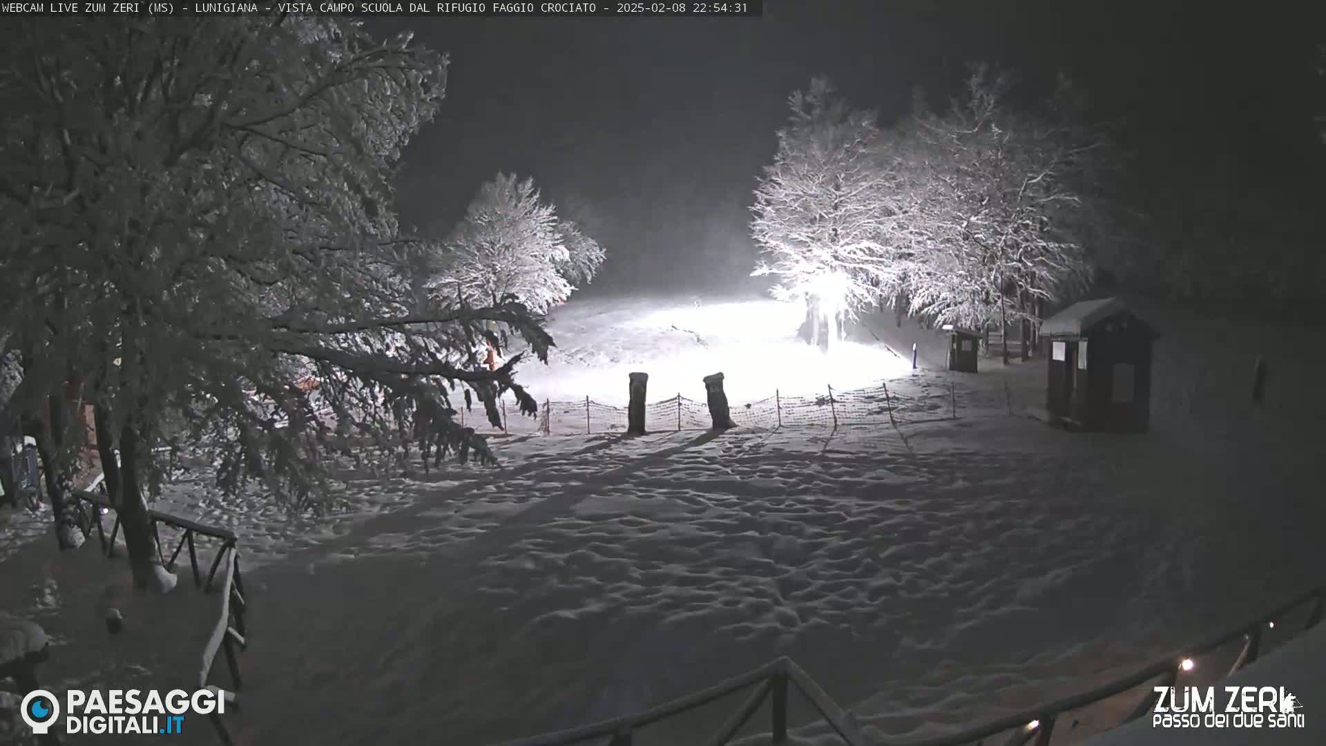 A snow-covered landscape at night, illuminated by artificial light, shows several snow-laden trees and a small building.