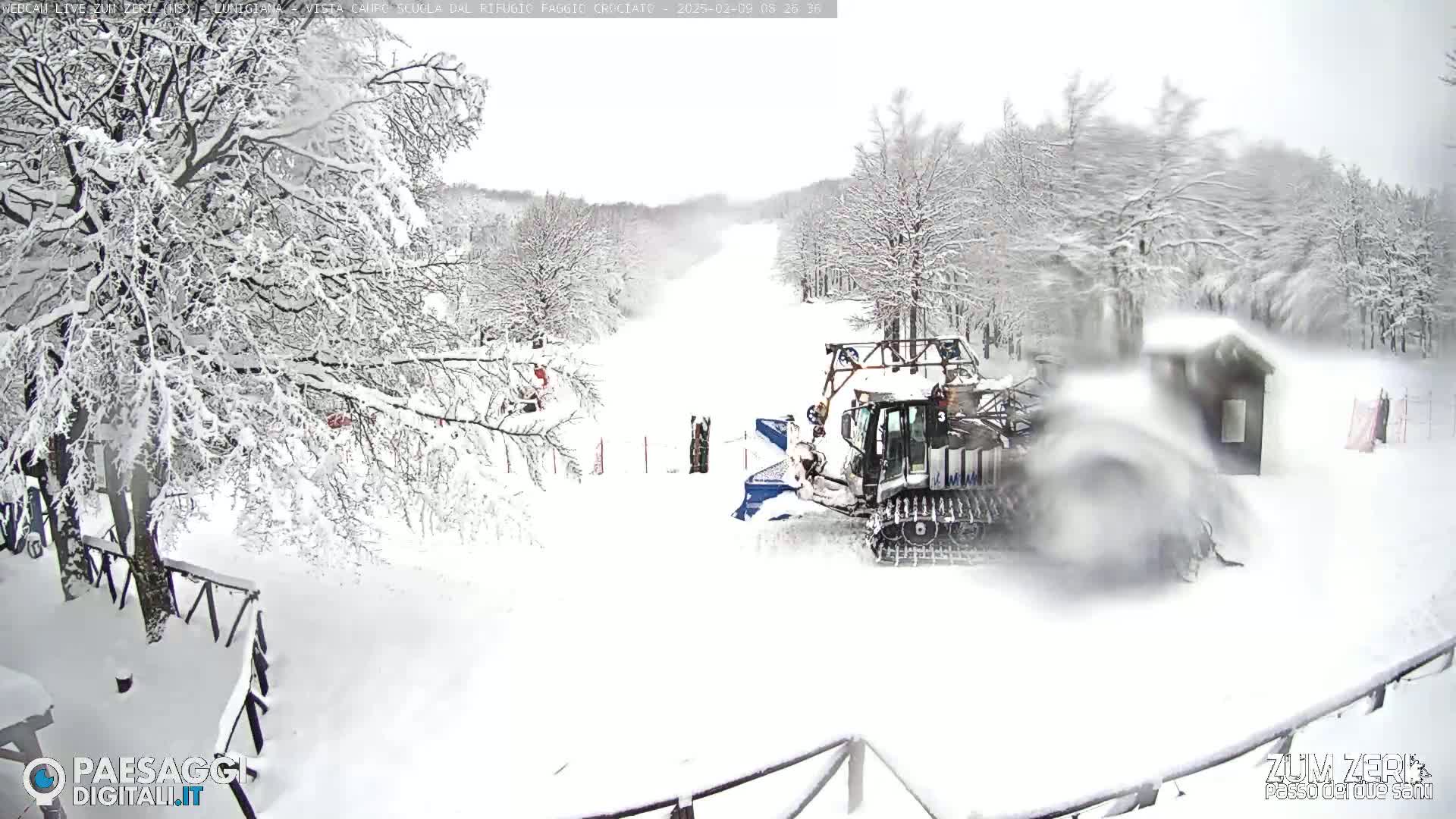 A snowcat grooms a snow-covered ski slope amidst a heavy snowfall in a wooded area.