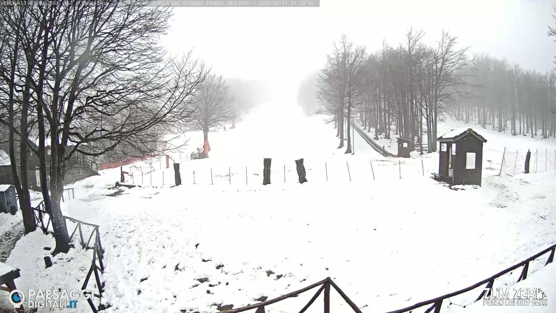 A snow-covered landscape with leafless trees and small structures, viewed in foggy conditions.