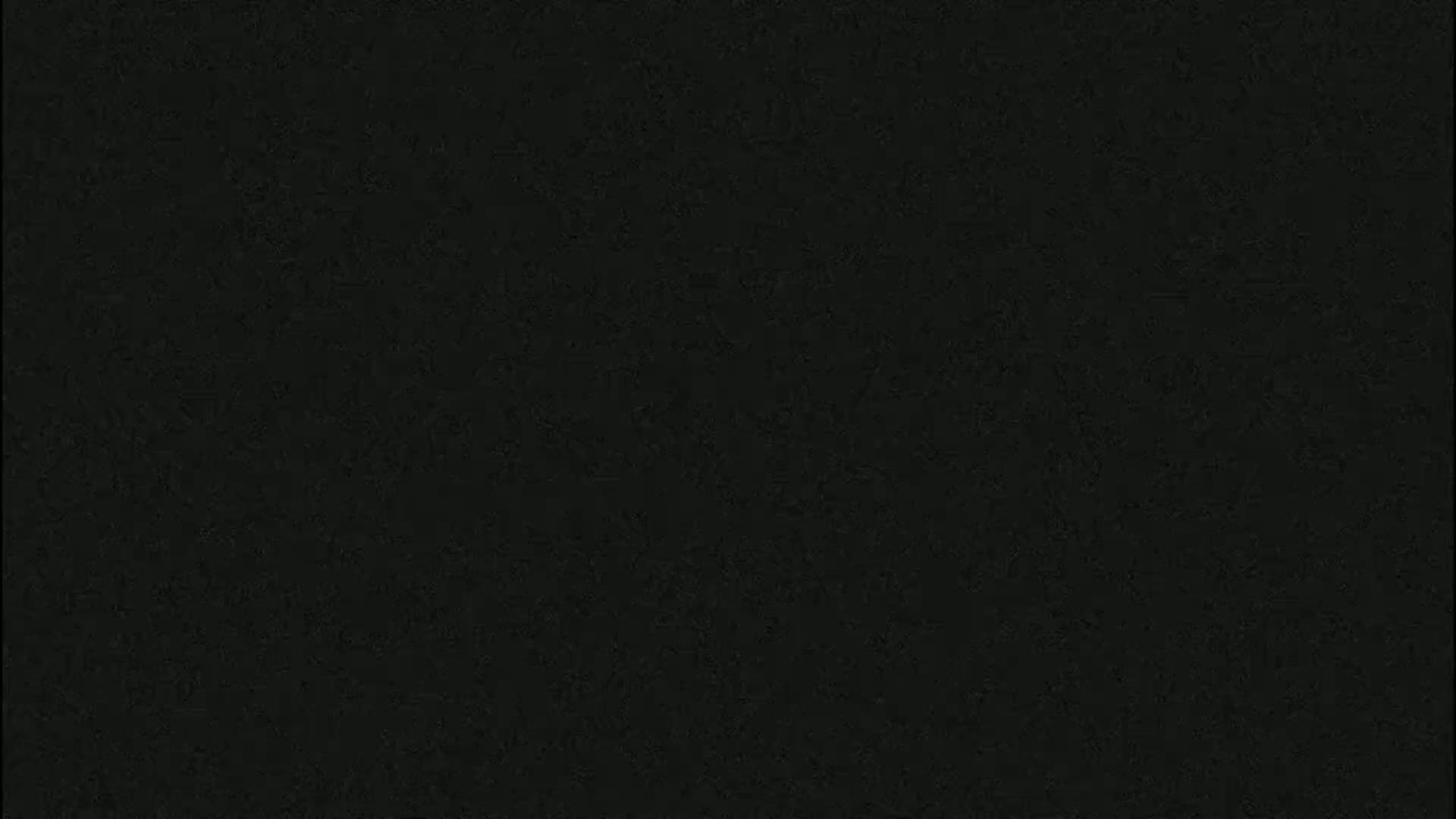 The image is a solid black screen with a slightly grainy texture.