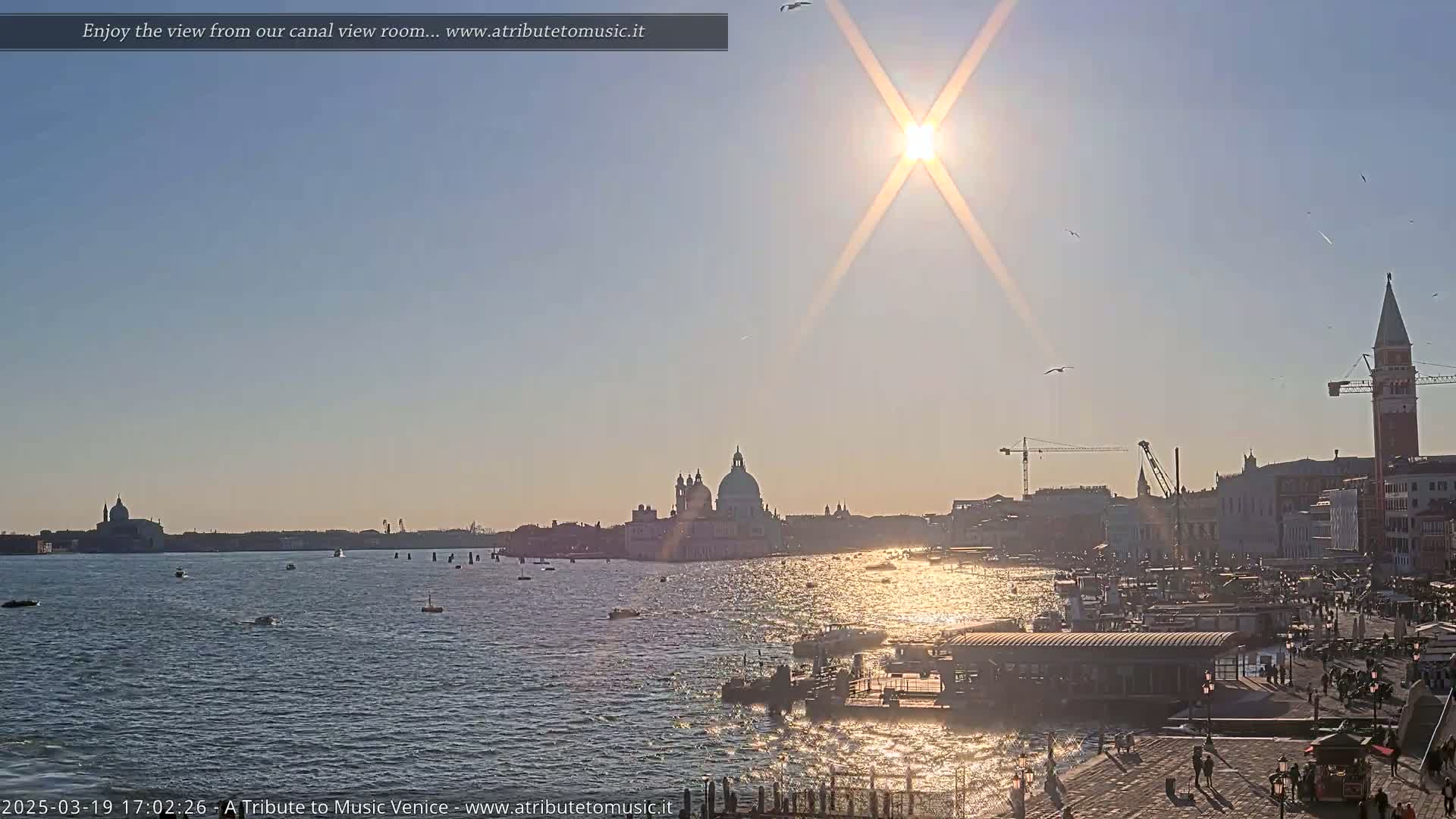 A bright, sunny day shows a Venetian canal with boats, buildings, and several birds in flight.