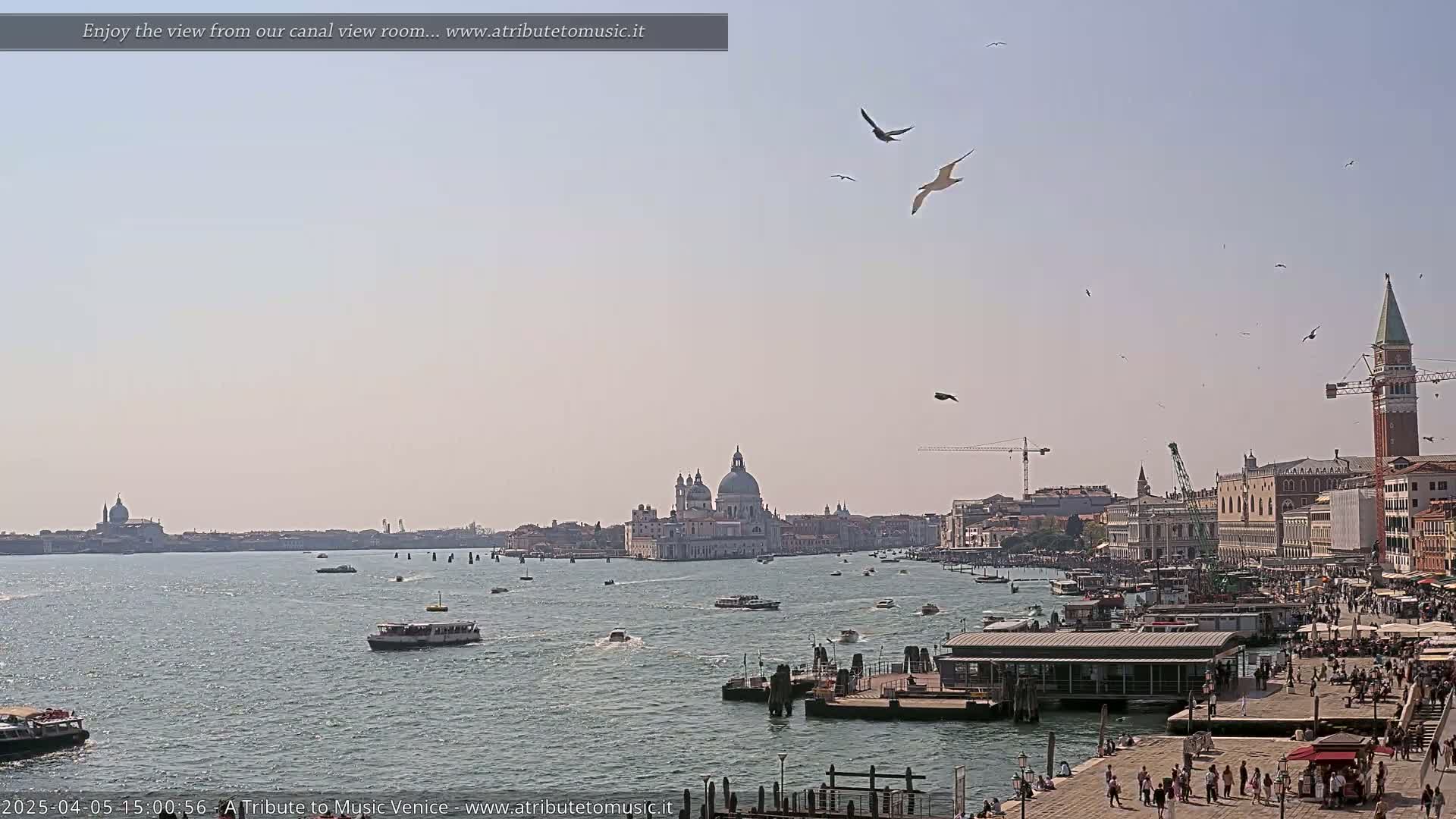 A sunny day in Venice shows a wide canal with boats, buildings, and many birds flying overhead.