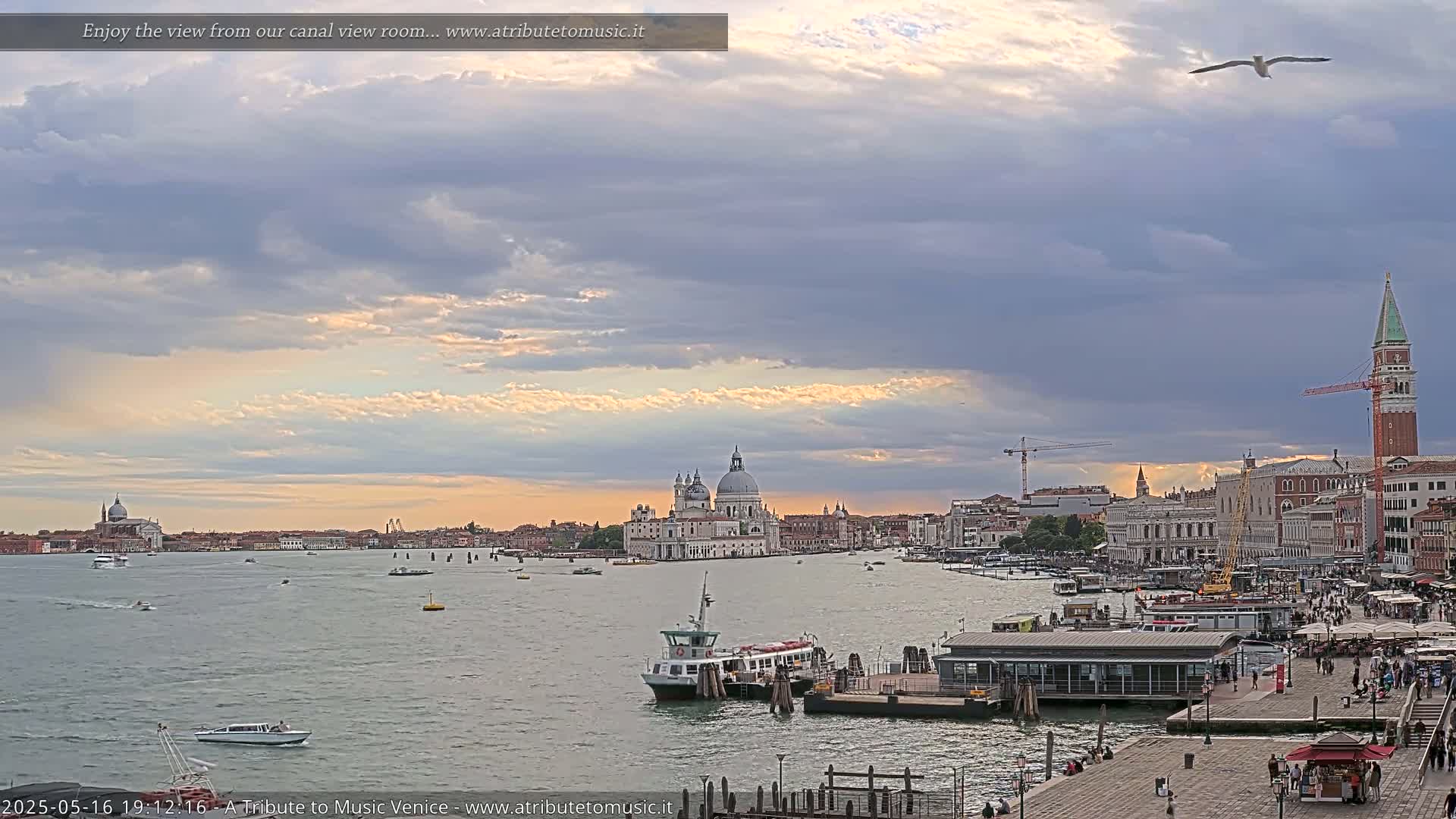 A wide view of a Venetian canal shows a ferry at a dock, with the Basilica di Santa Maria della Salute and other buildings visible in the distance under a partly cloudy sky, with a single seagull flying.