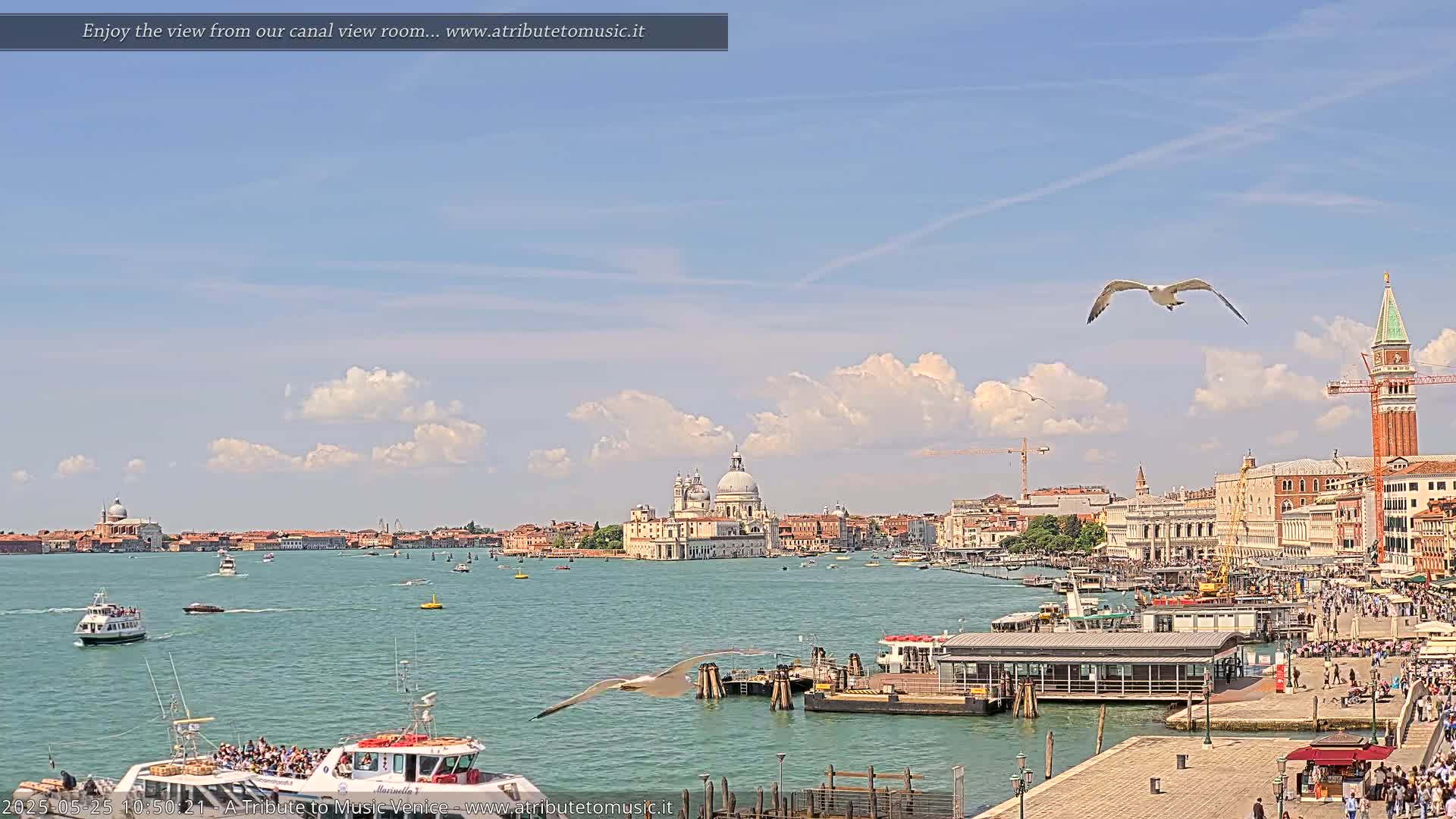 A sunny day in Venice shows a wide canal with boats, a large church in the distance, and buildings lining the waterfront, with seagulls flying overhead.