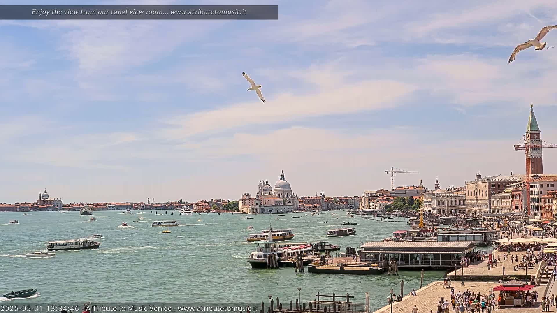 A sunny day in Venice shows a wide canal with numerous boats, a cityscape featuring the Basilica di Santa Maria della Salute, and several seagulls flying overhead.