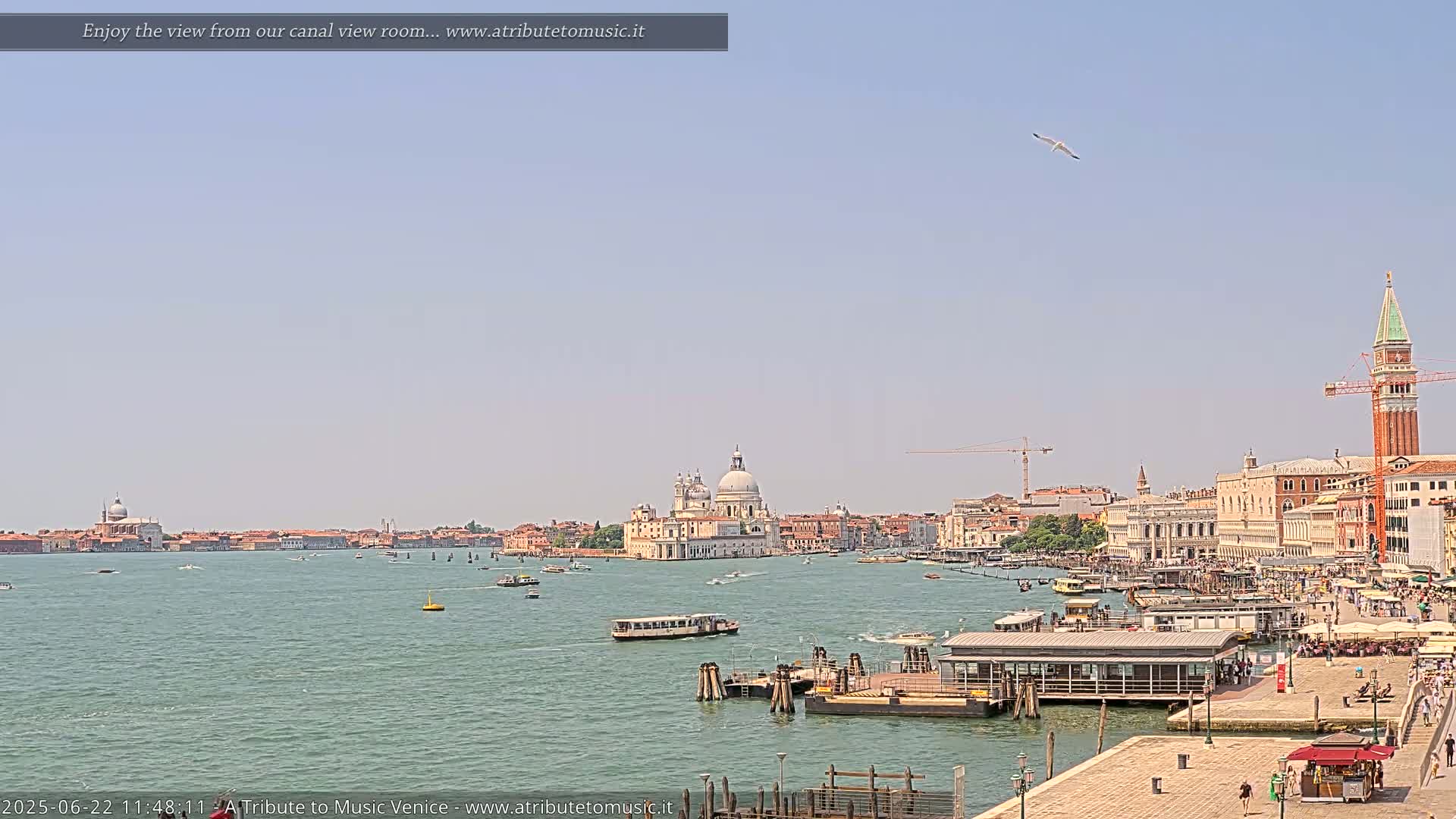 A wide shot of a Venetian waterway on a sunny day shows several boats, buildings, and a church dome in the distance, with a seagull flying overhead.