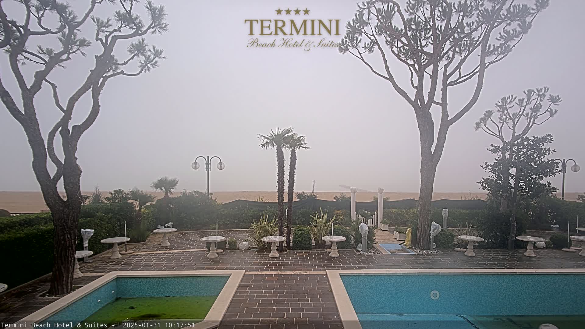 A foggy beach is visible beyond a patio with two swimming pools, several potted plants, and tall trees.