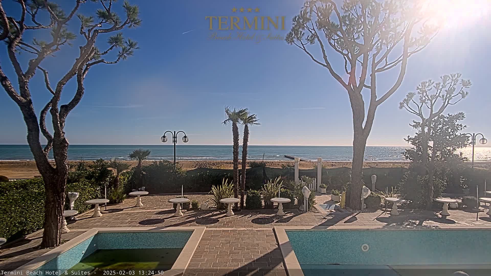 A sunny outdoor patio scene with a swimming pool, small tables and chairs, palm trees, and pine trees overlooks a calm ocean beach.