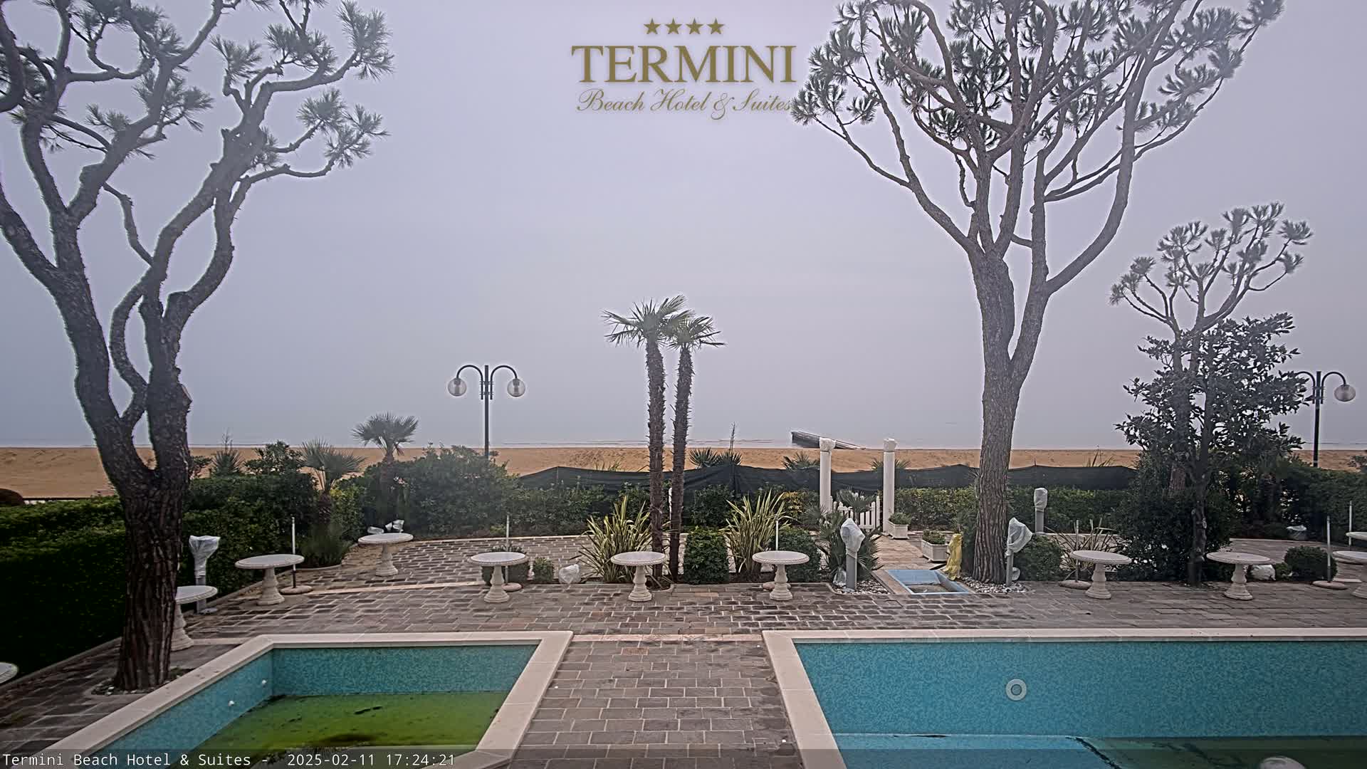 A foggy beach is visible beyond a patio with two pools, several small tables, and tall, slender trees.