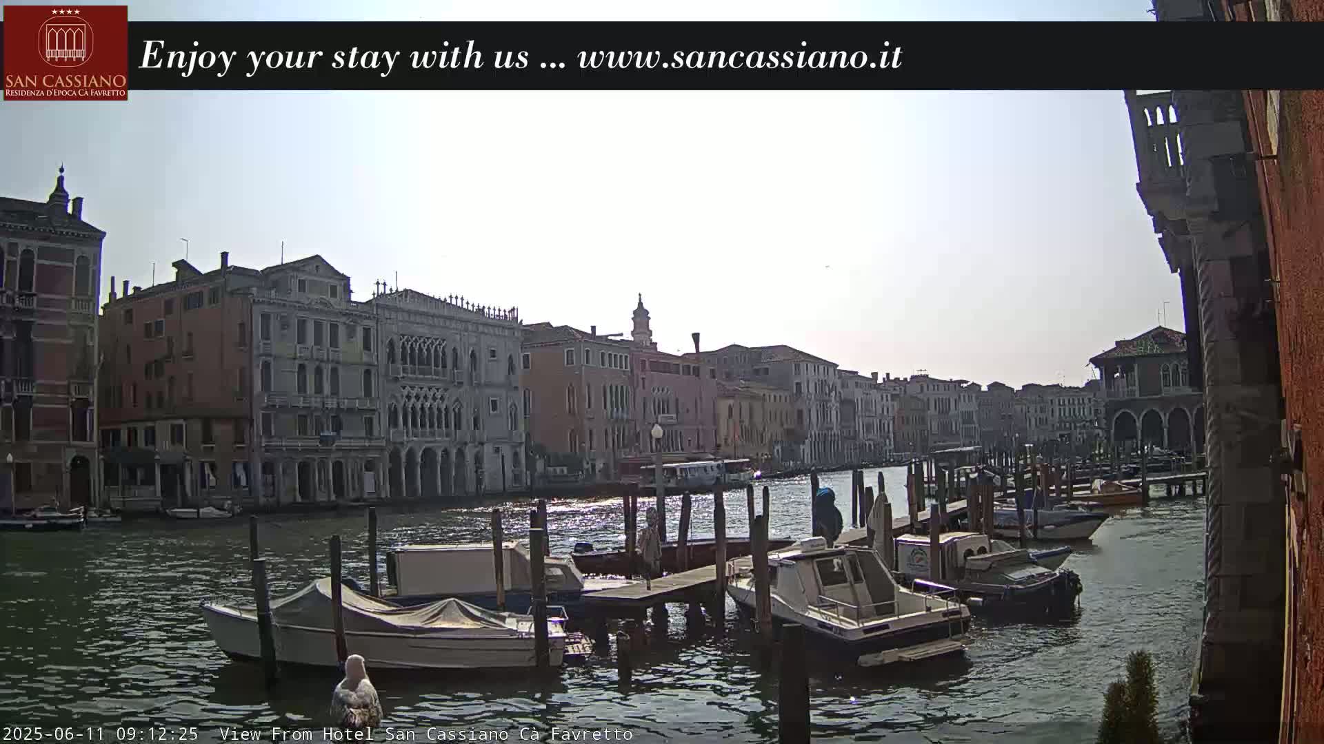 A seagull stands on a dock overlooking a canal lined with Venetian buildings on a bright, sunny day.