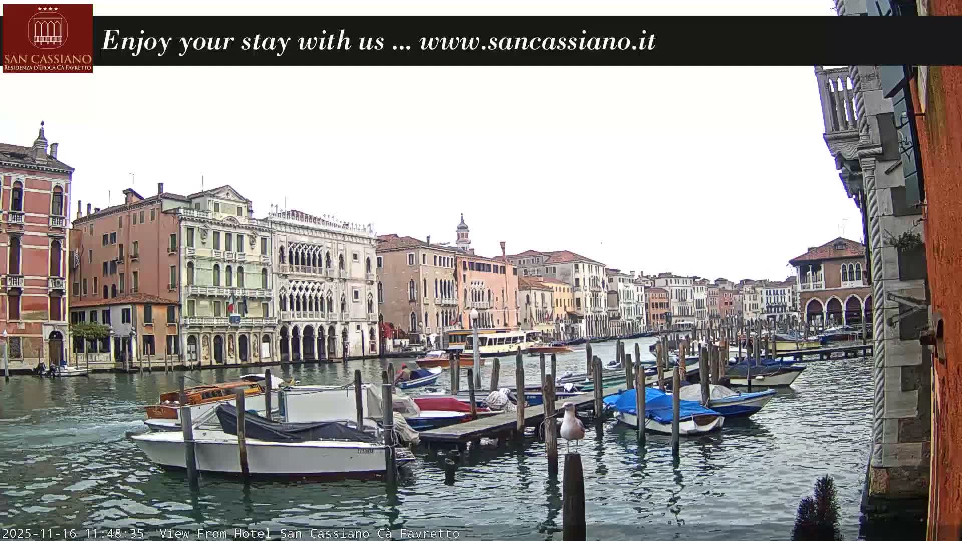 View of Grand Canal, Venice Live Cam - Venice, Veneto, Italy