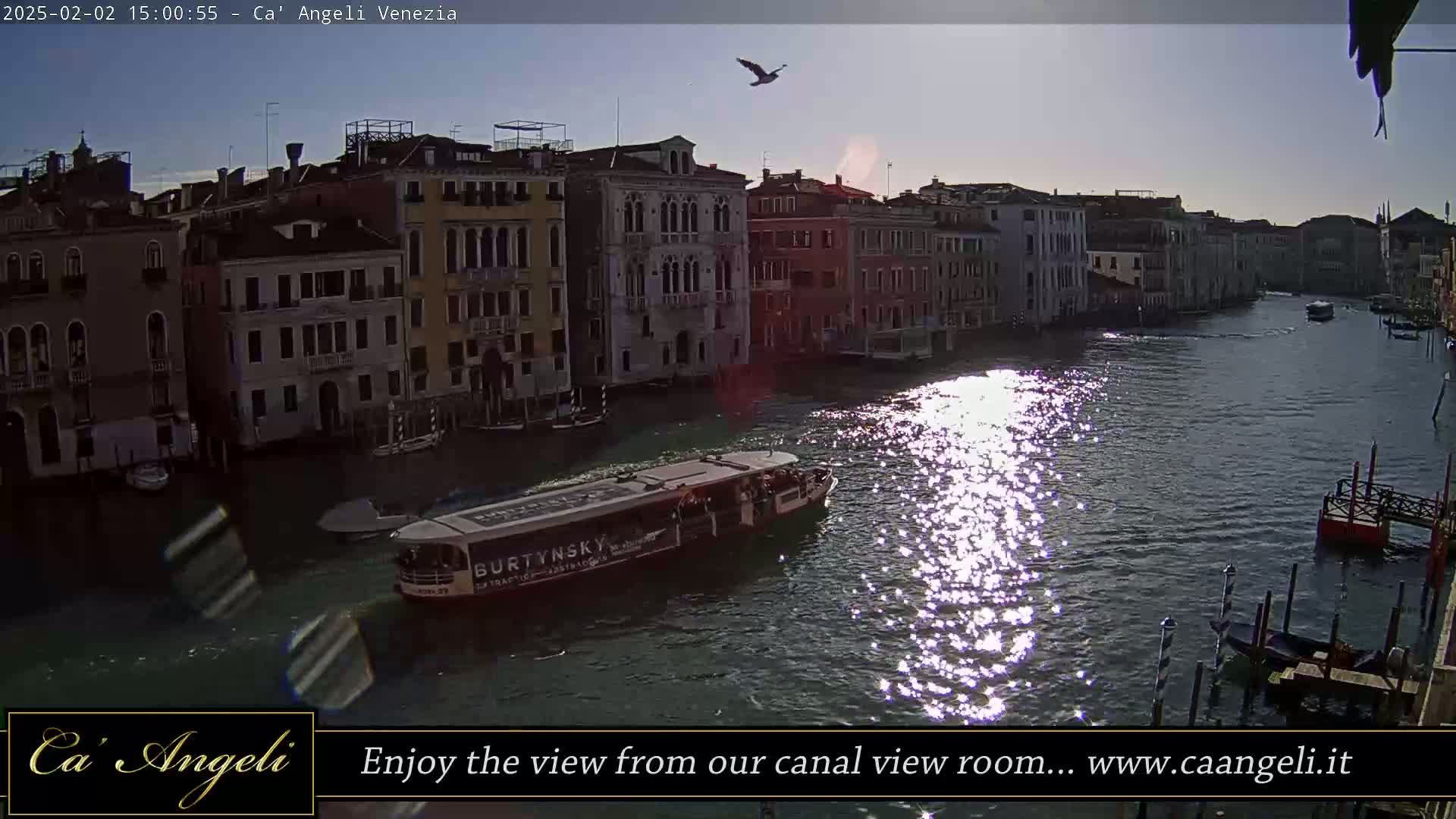A sunny day in Venice shows a canal with a boat and several buildings lining the waterway, with a bird flying overhead.