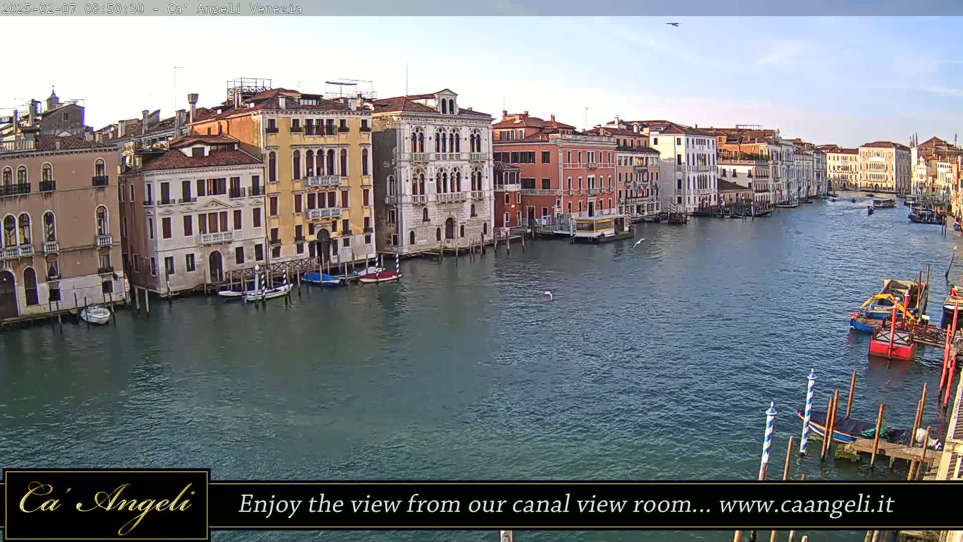 Grand Canal in Venezia Panaromic Live Cam - Venice, Veneto, Italy