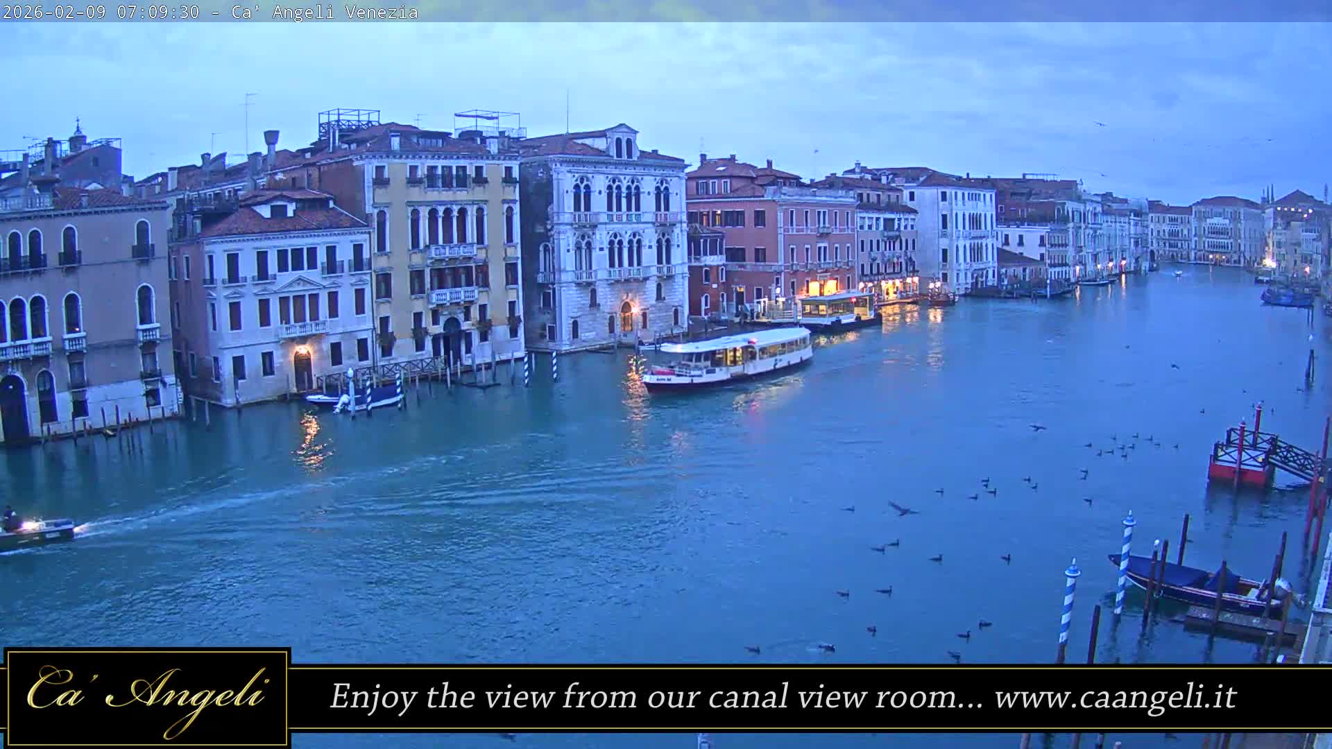 Grand Canal in Venezia Panaromic Live Cam - Venice, Veneto, Italy