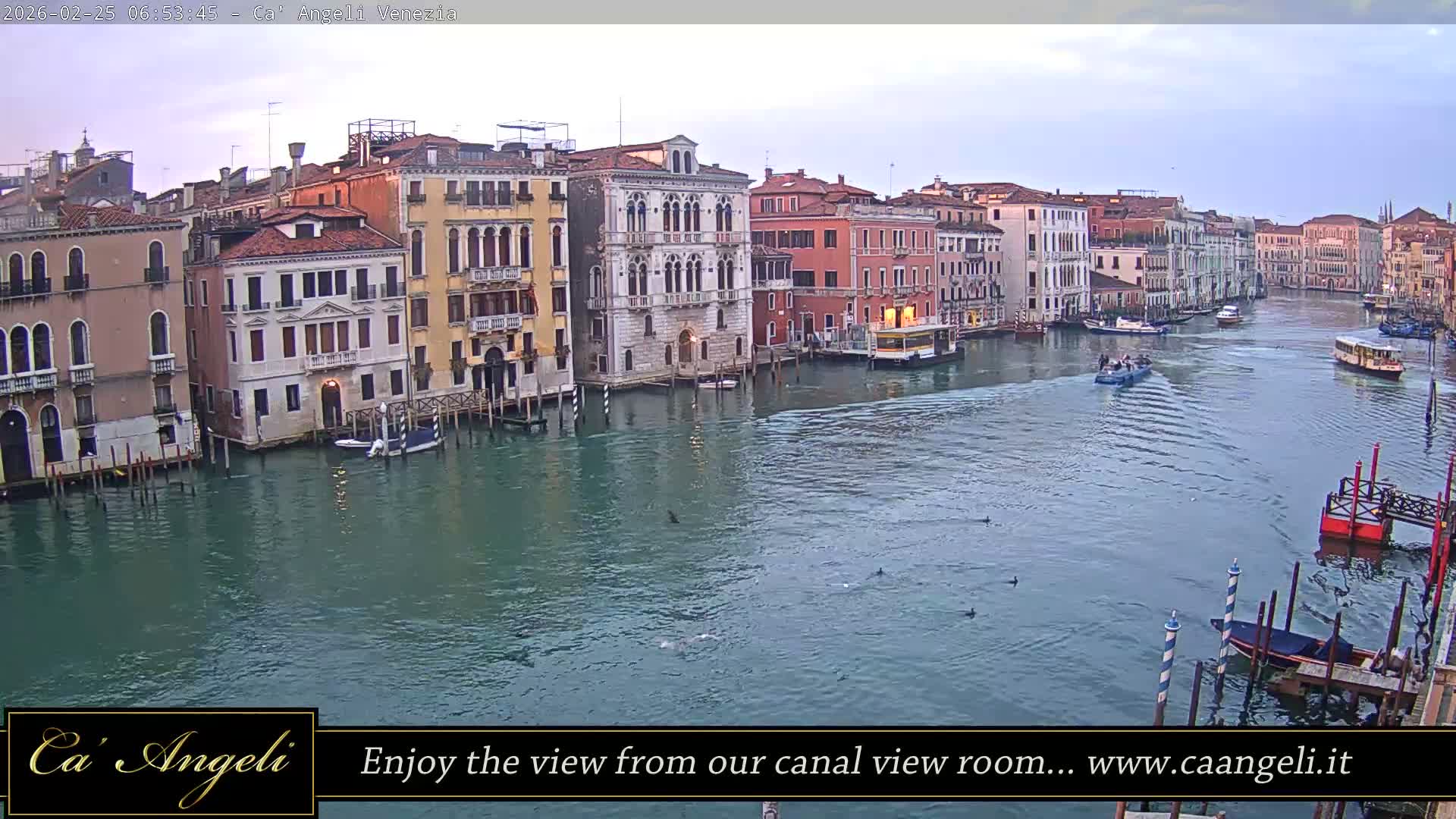 Grand Canal in Venezia Panaromic Live Cam - Venice, Veneto, Italy