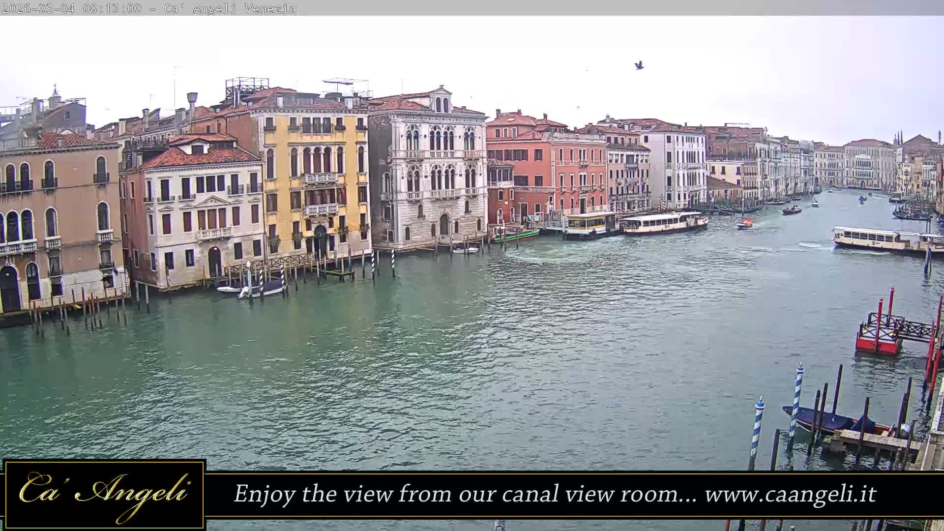Grand Canal in Venezia Panaromic Live Cam - Venice, Veneto, Italy