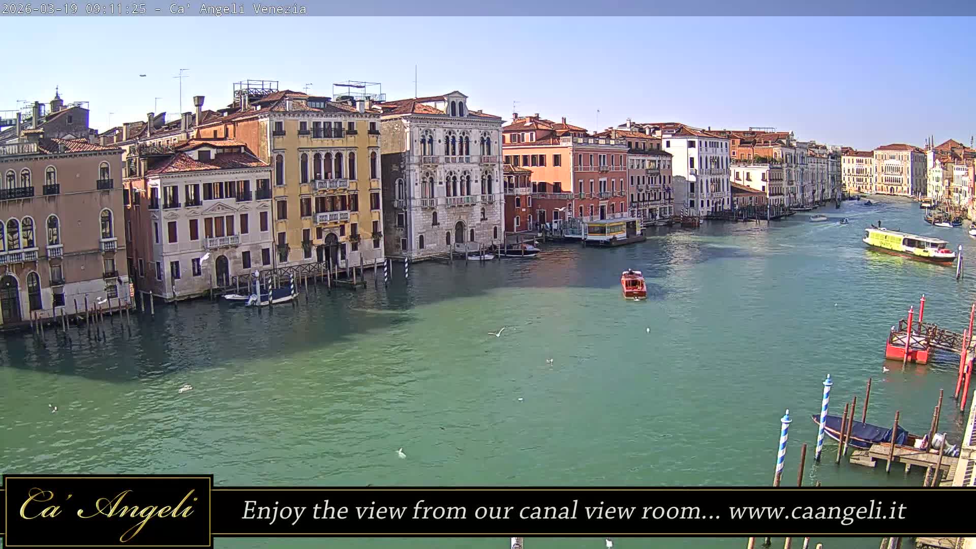 Grand Canal in Venezia Panaromic Live Cam - Venice, Veneto, Italy