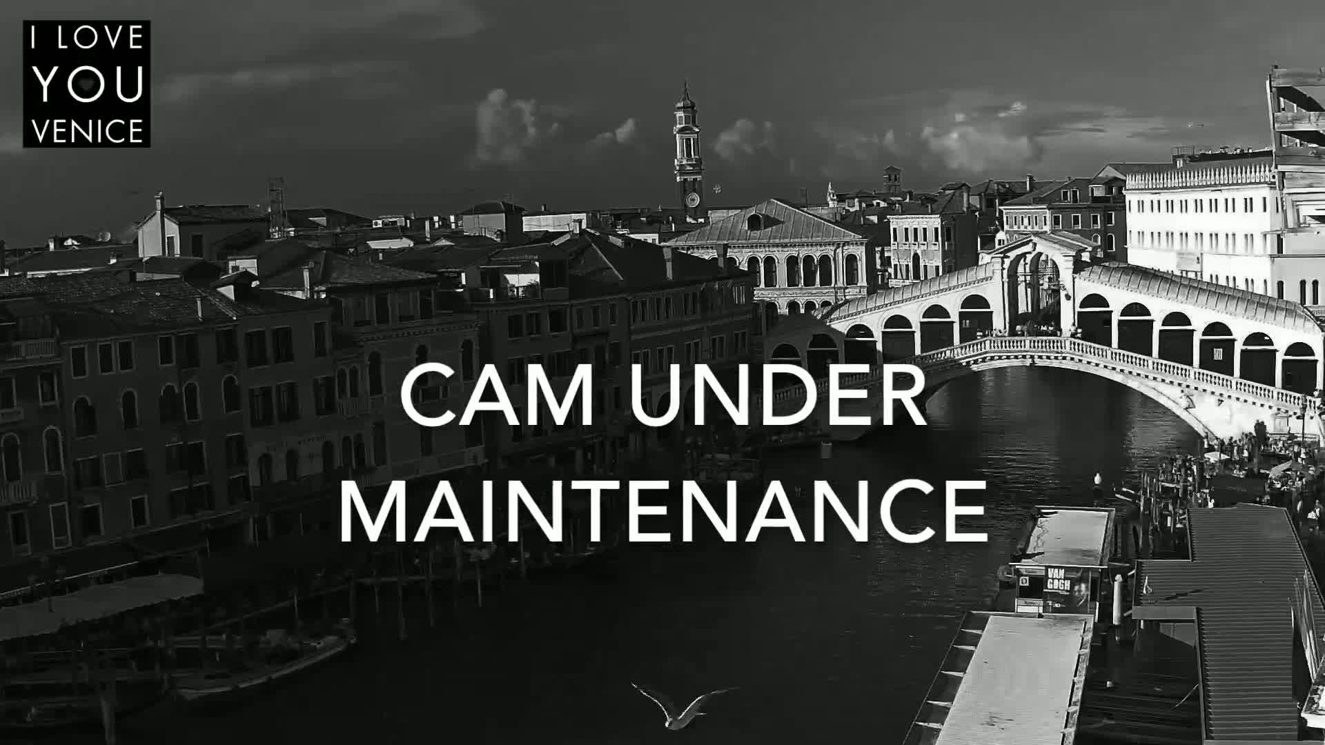 Venice Giudecca Island from San Marco Basin Live Cam - Veneto, Italy
