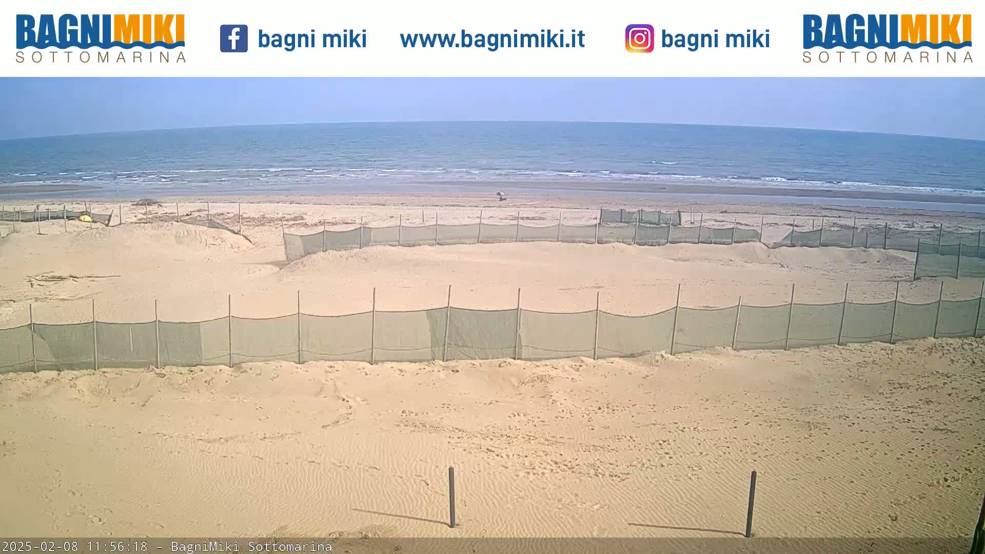 A sandy beach with calm ocean waters under a clear sky features several enclosed areas sectioned off by green mesh fencing.