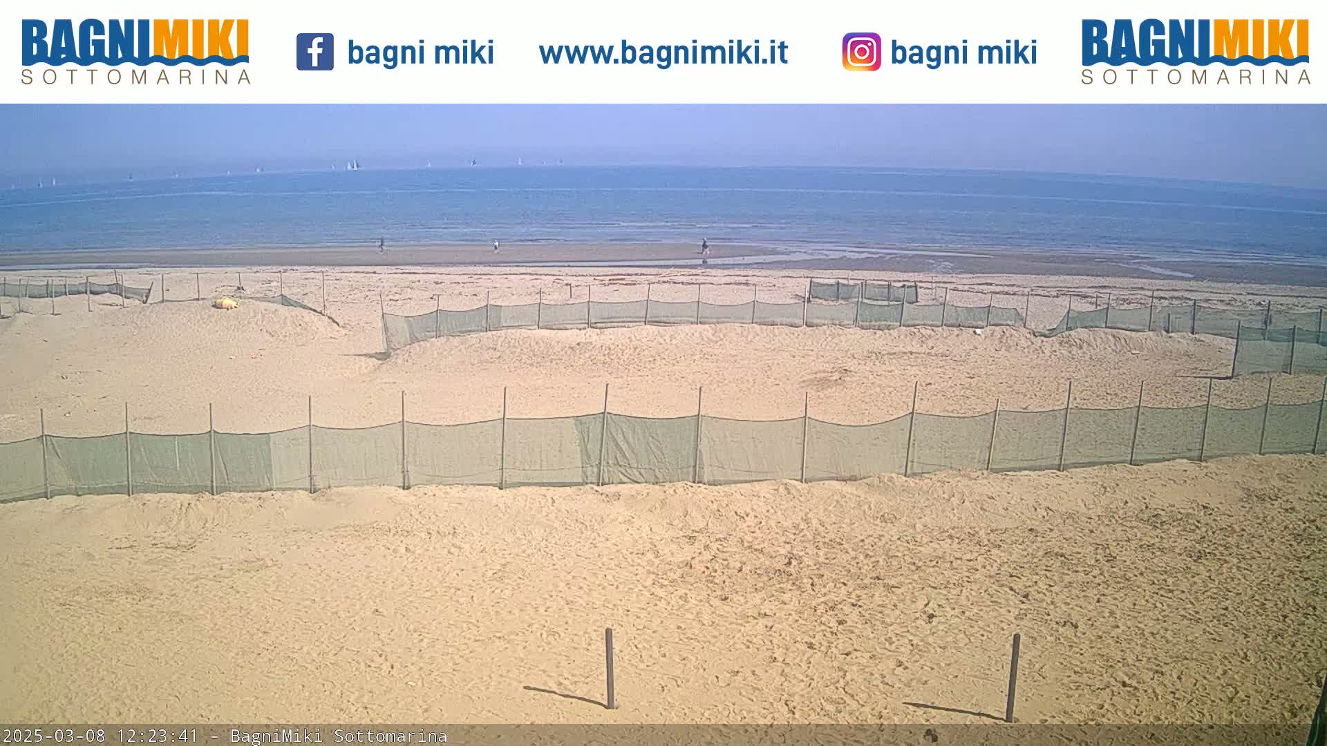 A sandy beach with several fenced-off areas stretches towards a calm ocean under a clear sky.