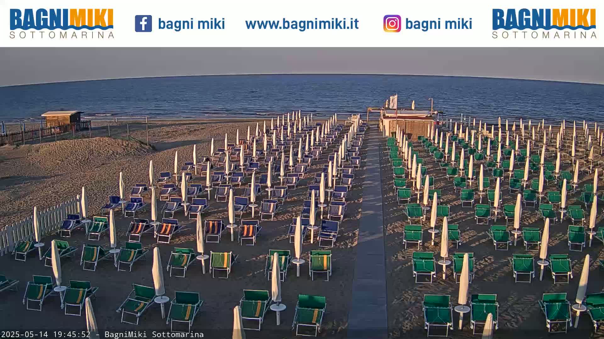 Many beach umbrellas and lounge chairs are arranged on a sandy beach next to a calm ocean under a clear sky.