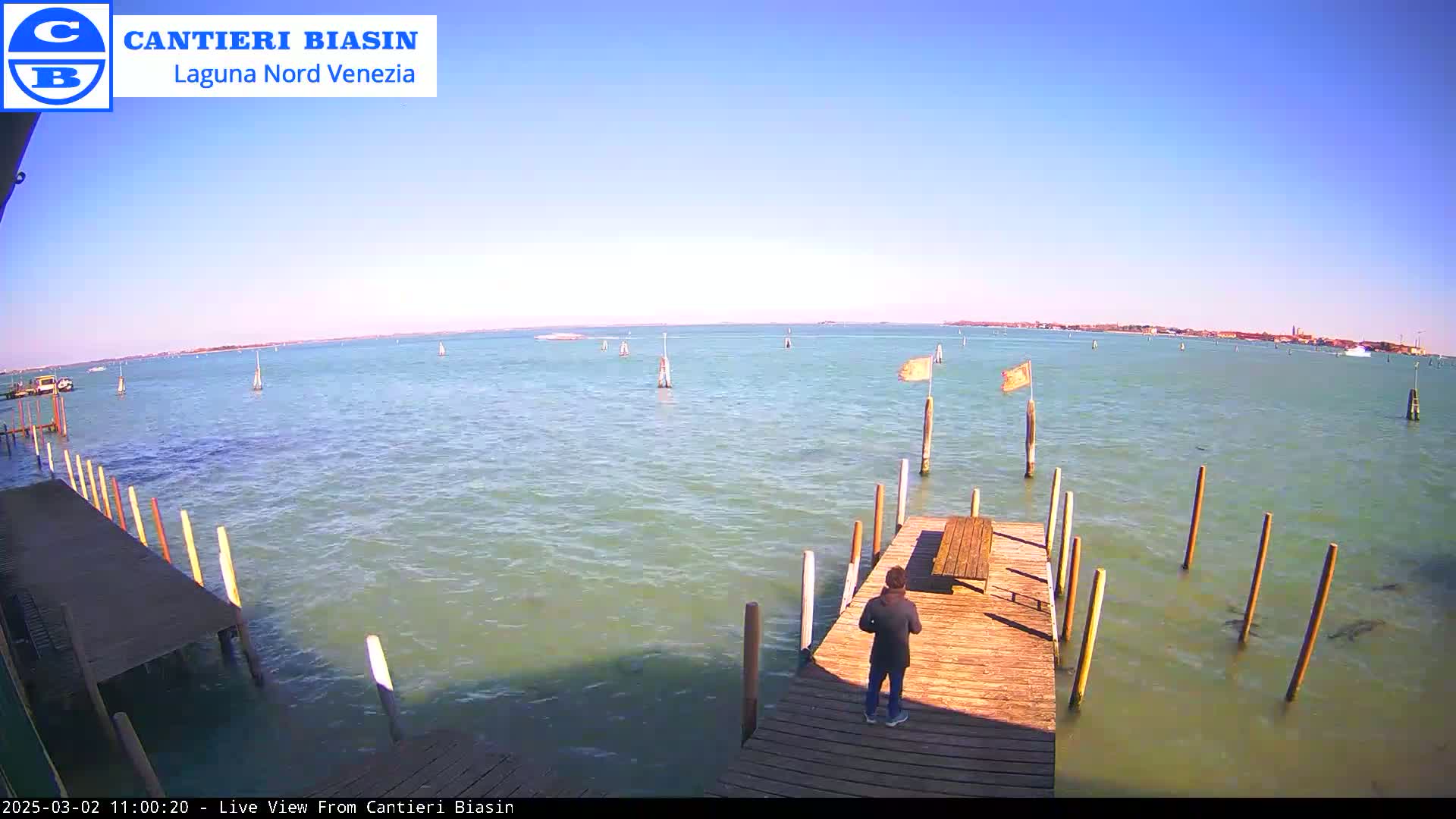 A person stands on a wooden dock extending over calm, light-green water under a clear blue sky.