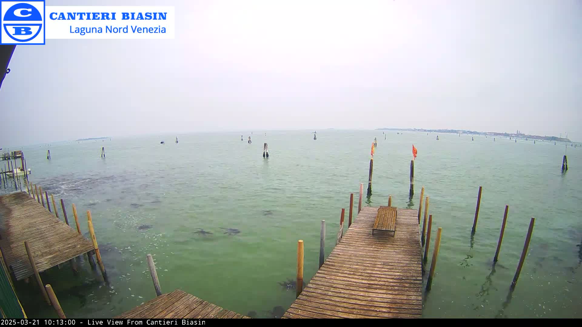 A wooden dock extends over calm, greenish water, dotted with wooden posts and a hazy distant shoreline under an overcast sky.