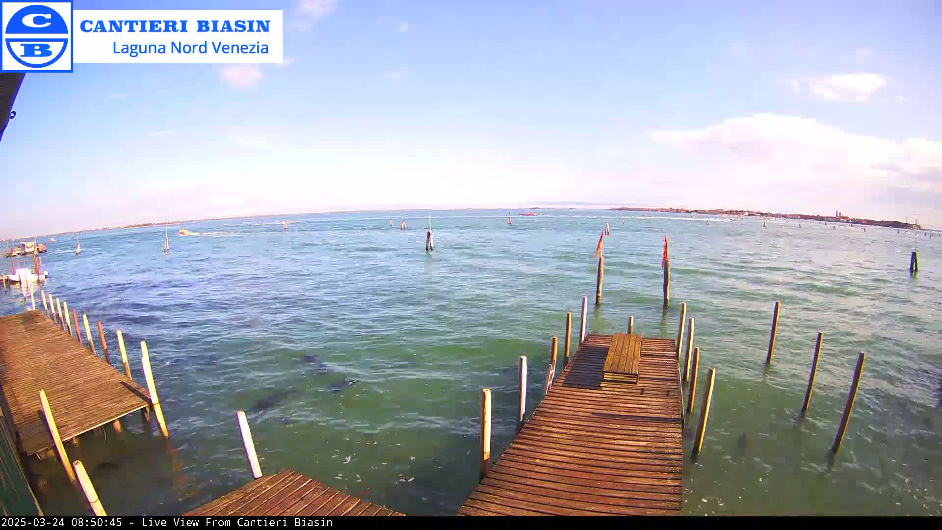A wooden dock extends over calm, greenish water, with several poles in the water and a distant shoreline visible under a mostly clear sky.