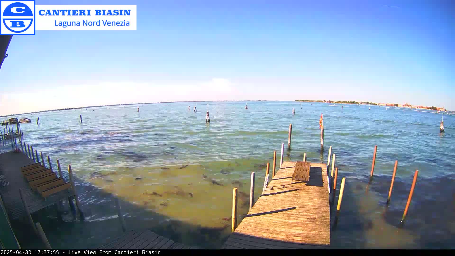 A wooden dock extends over shallow, calm, greenish water toward a distant shoreline under a clear blue sky.