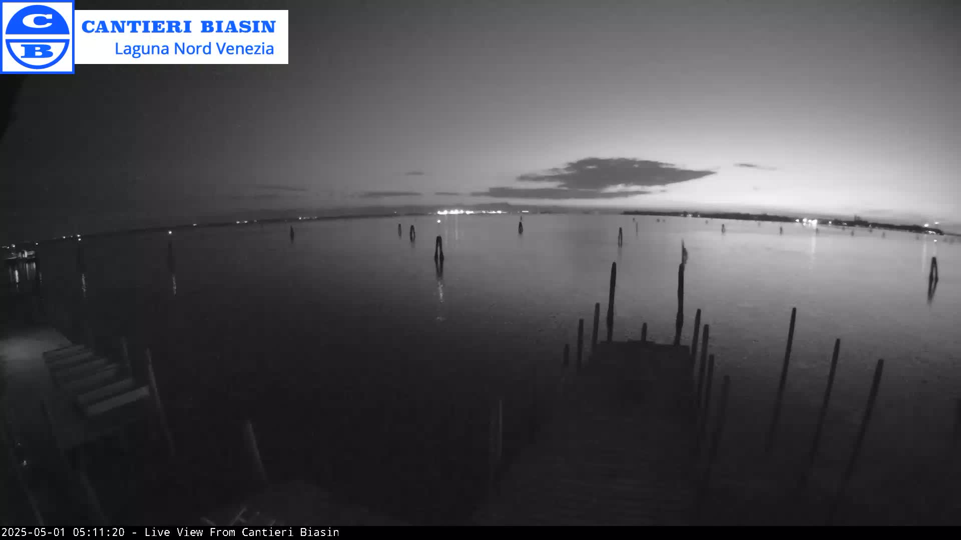 A nighttime, grayscale view of a calm body of water with numerous vertical posts extending from the water, and a distant shoreline with faint lights.
