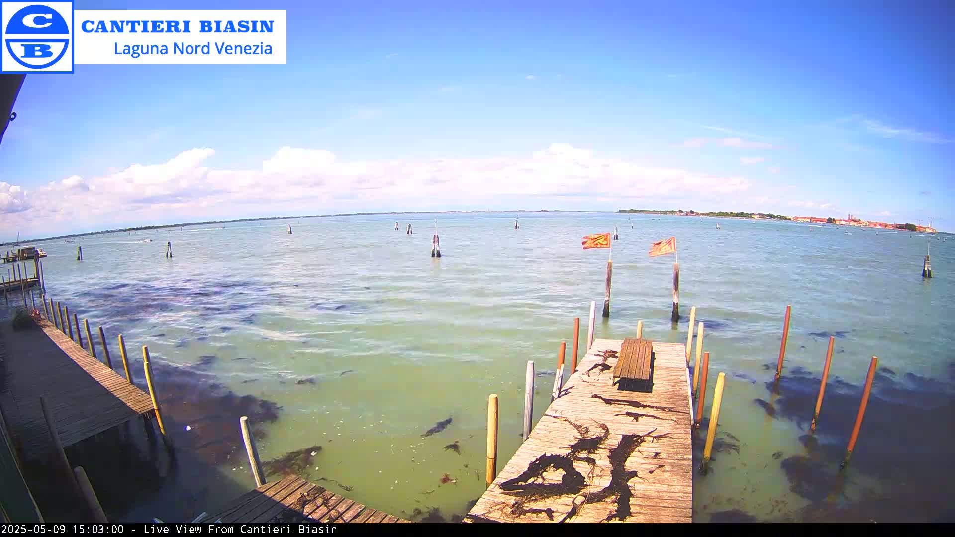 A wooden dock extends over shallow, greenish water under a mostly sunny sky, with several posts and flags visible in the distance.