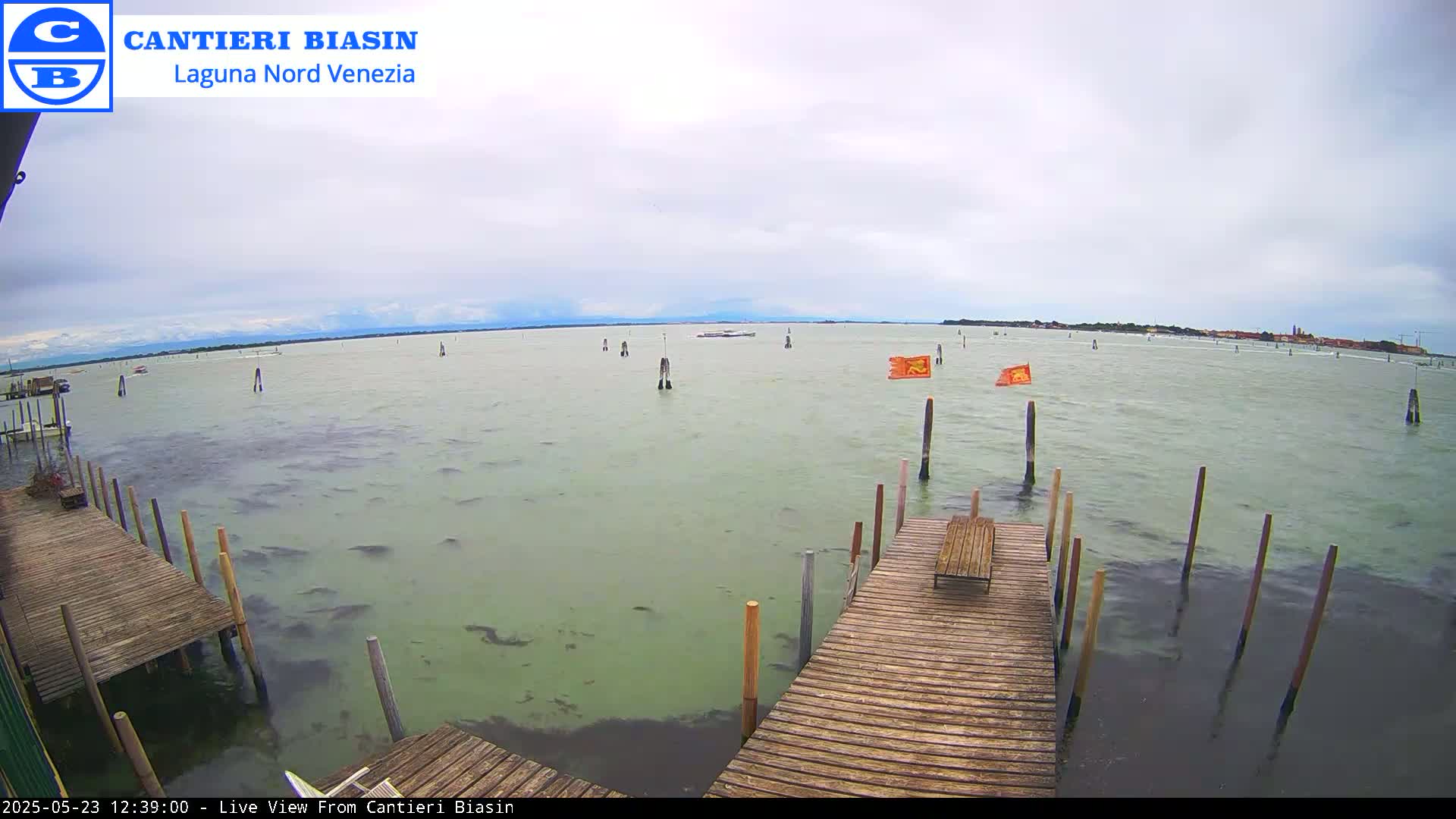 A wooden dock extends over calm, greenish-grey water under an overcast sky, with distant land visible on the horizon.