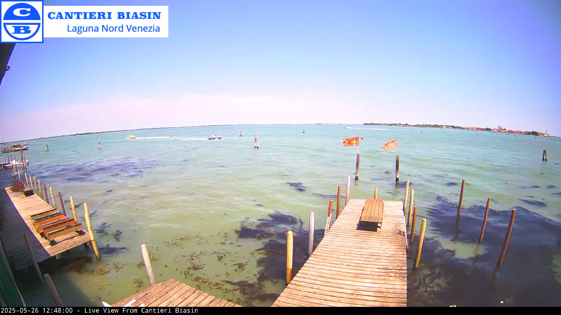 A wooden dock extends over shallow, greenish-brown water speckled with dark patches, under a clear blue sky, with small boats visible in the distance.