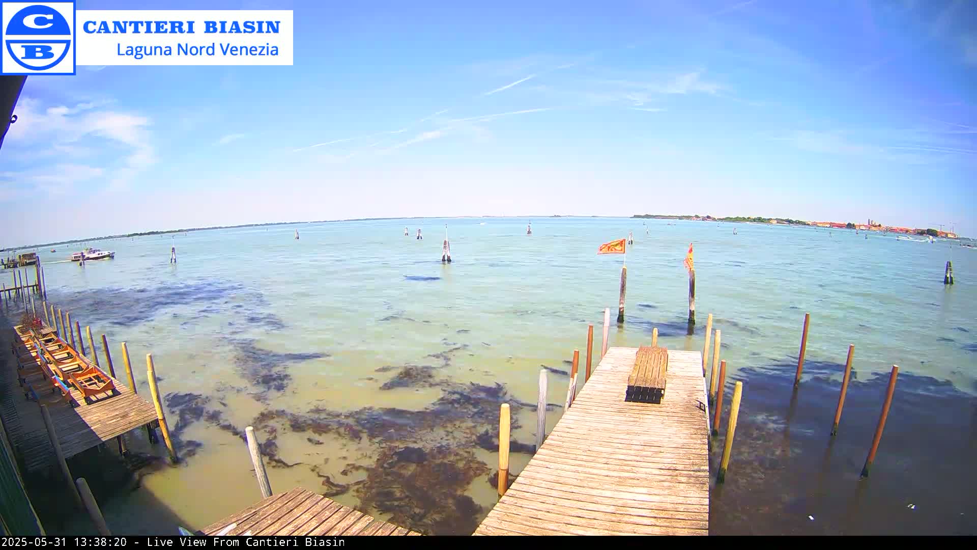 A wooden dock extends over shallow, calm, greenish-blue water with patches of dark seaweed visible beneath the surface, under a clear blue sky.