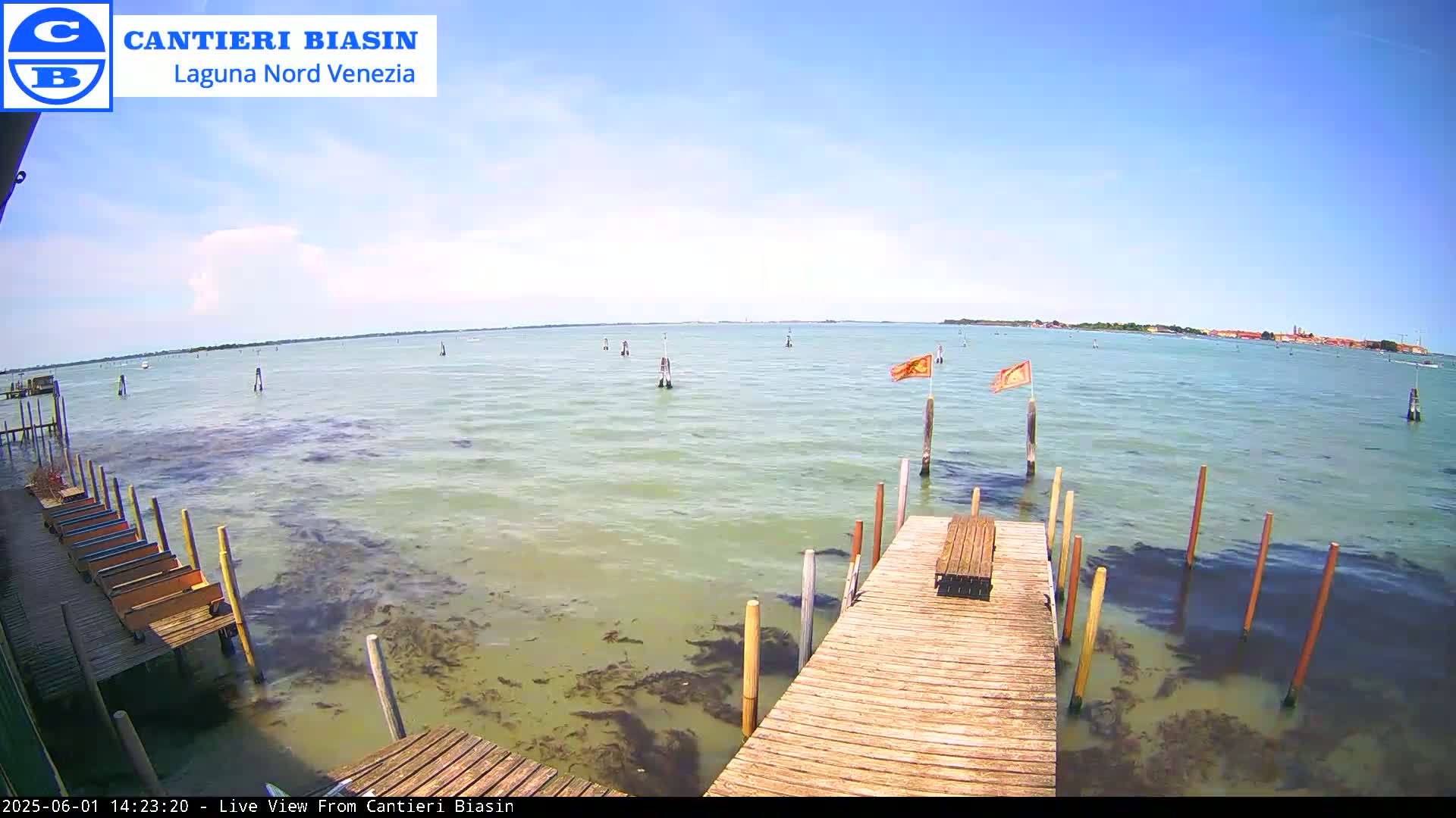A wooden dock extends over shallow, greenish-brown water under a mostly sunny sky, with a distant landmass visible on the horizon.