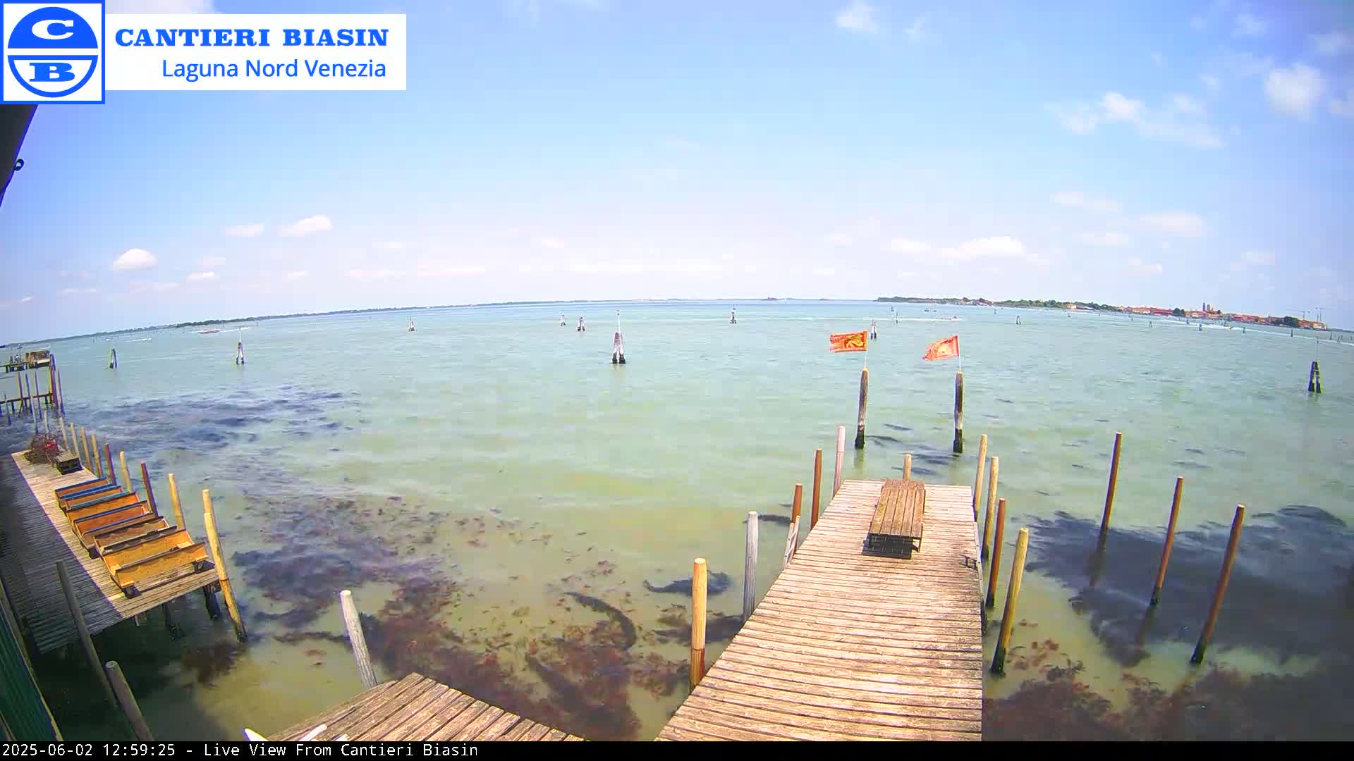 A wooden dock extends over shallow, calm, greenish water with patches of seaweed, under a mostly sunny sky; in the distance, land is visible.