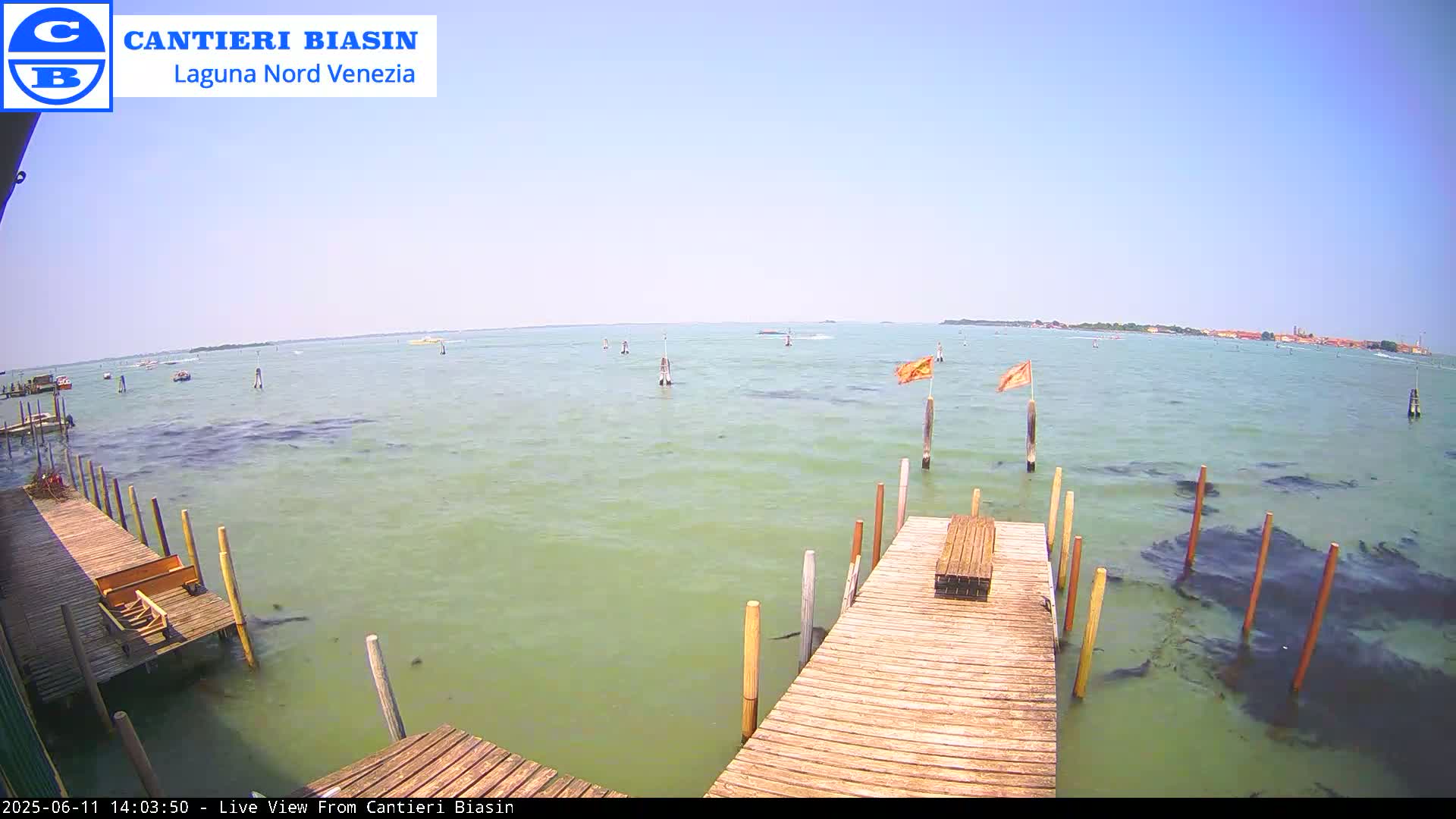 A wooden dock extends over a calm, green body of water on a sunny day, with a distant landmass visible in the background.