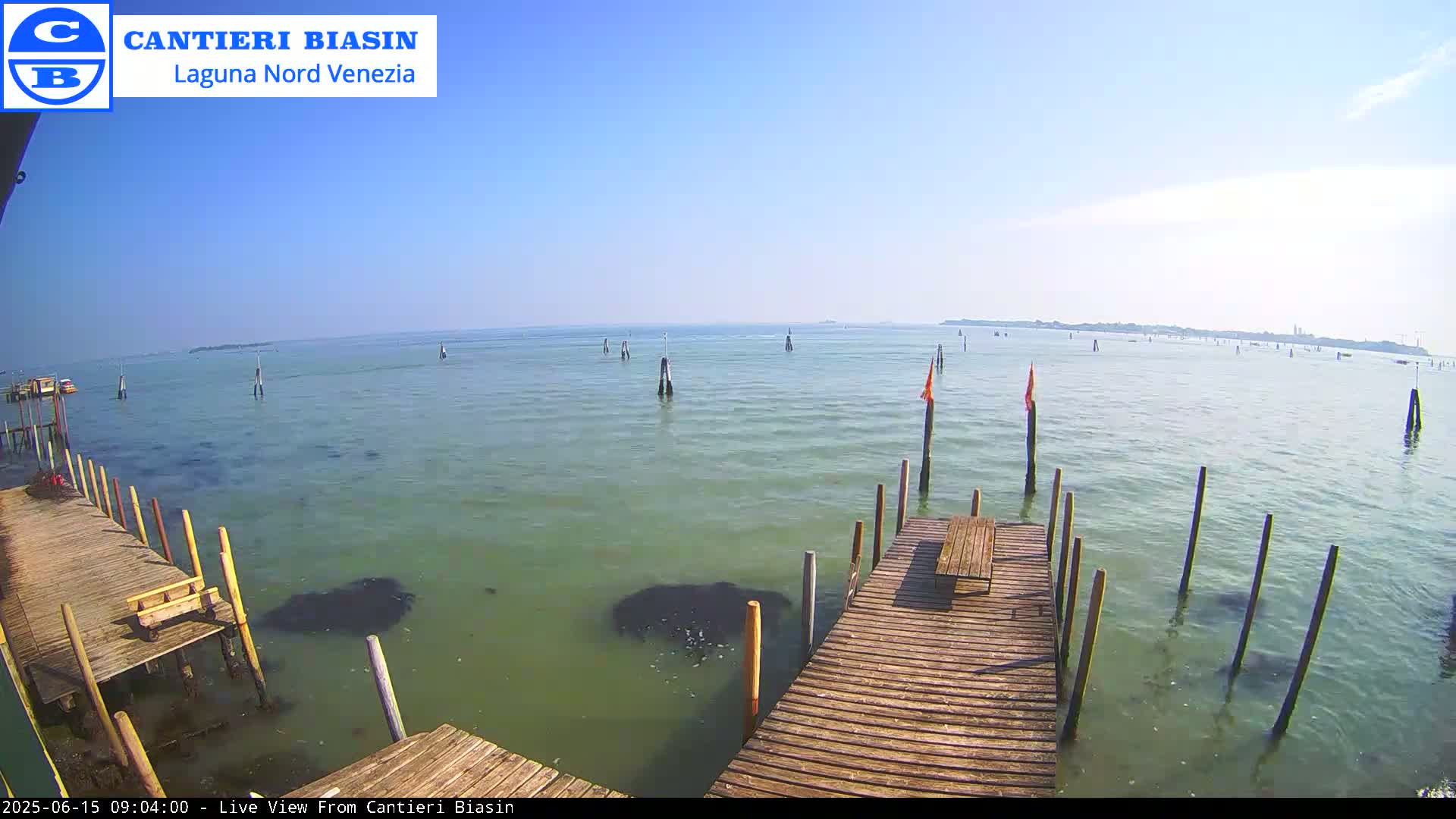 A wooden dock extends over calm, green-tinged water, with numerous posts and a few orange flags visible in the distance under a clear blue sky.