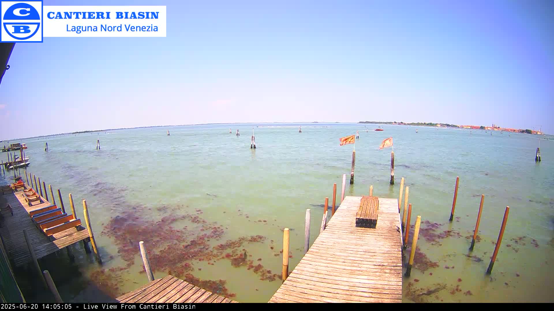 A wooden dock extends over shallow, greenish-brown water dotted with reddish-brown patches, under a clear, sunny sky, toward a distant shoreline.