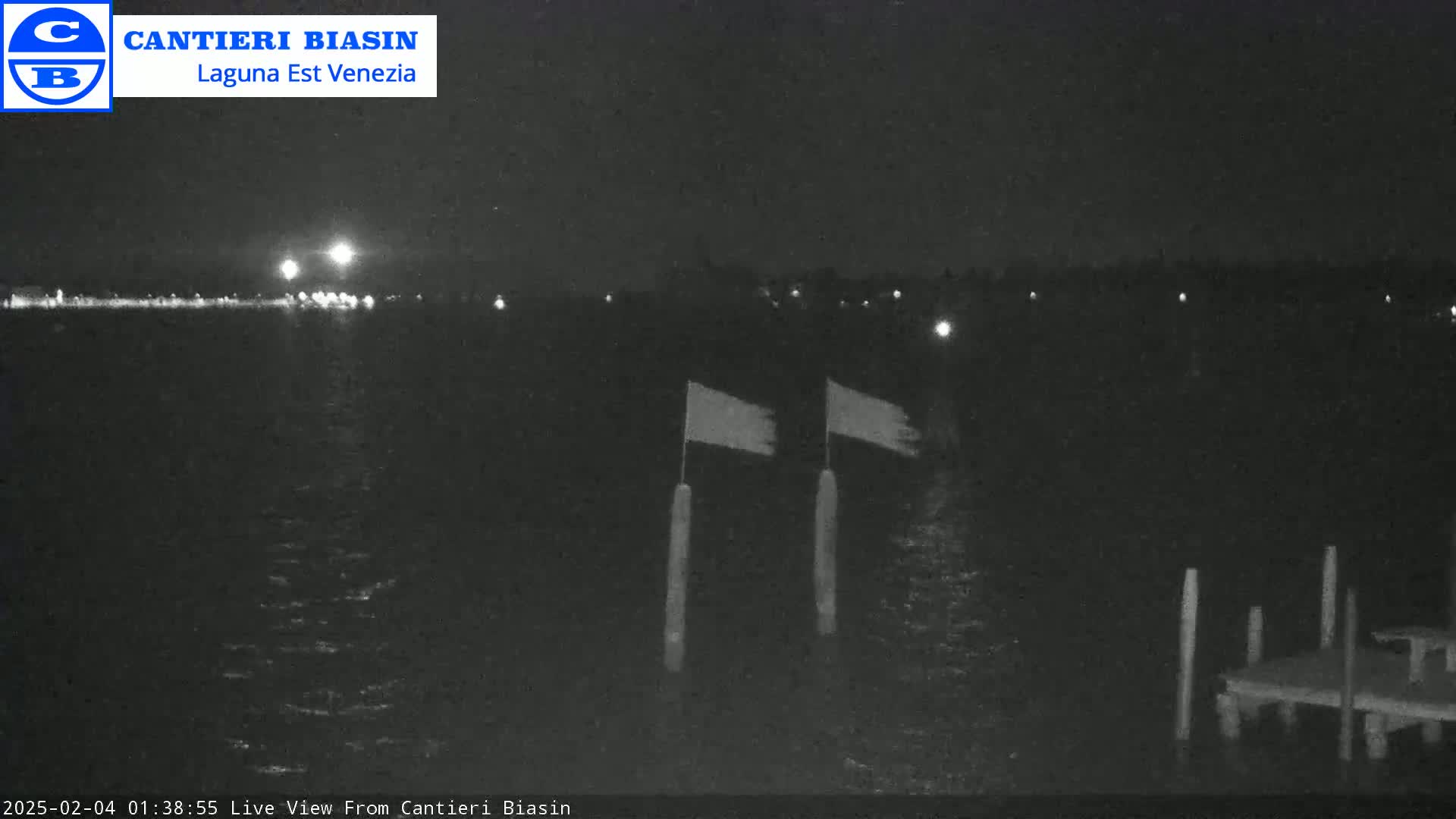 A nighttime view of dark water with two flags on poles in the foreground, a distant shoreline with lights visible, and a small dock.