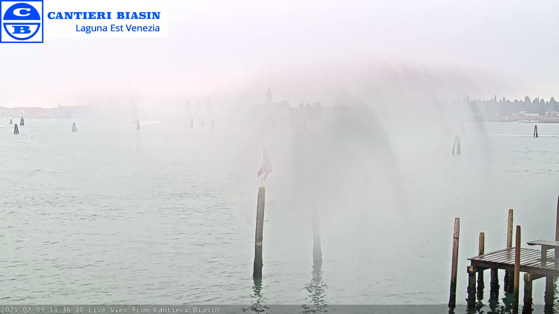 A foggy waterfront scene shows a bird perched on a post in the water near a small wooden dock, with a hazy background of buildings and water.
