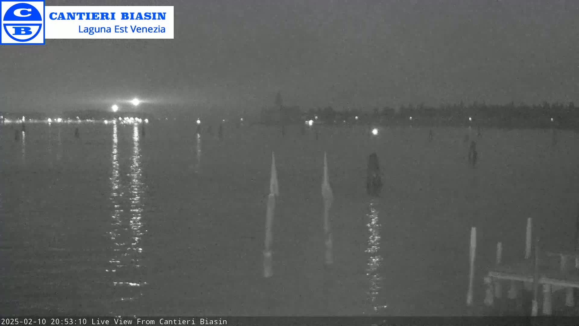 A nighttime view of a calm body of water with several posts extending from the water's surface, a distant shoreline with faint lights, and a bright light source possibly from the moon or a very bright light in the distance.