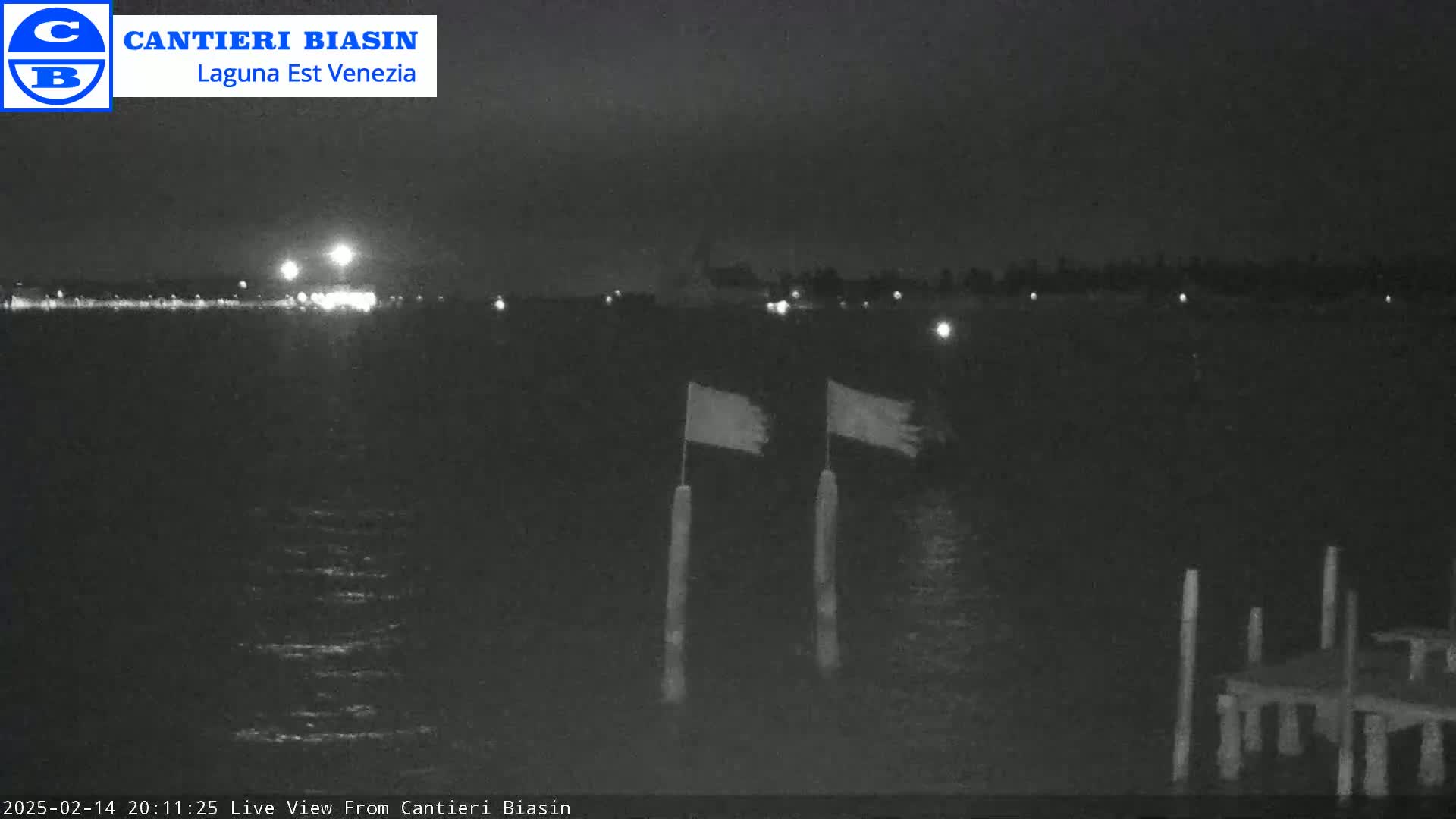 A nighttime view of a dark body of water with two flags on poles and a distant shoreline with lights visible under a dark sky.