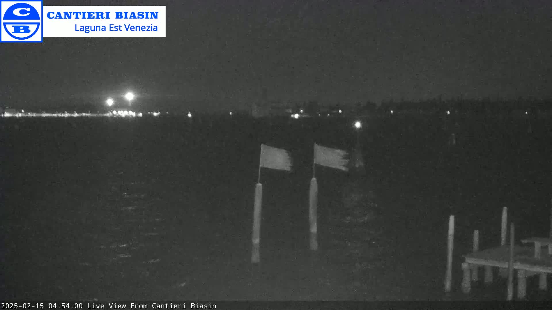 A nighttime view of dark water with two flags on poles and a distant shoreline with faint lights.