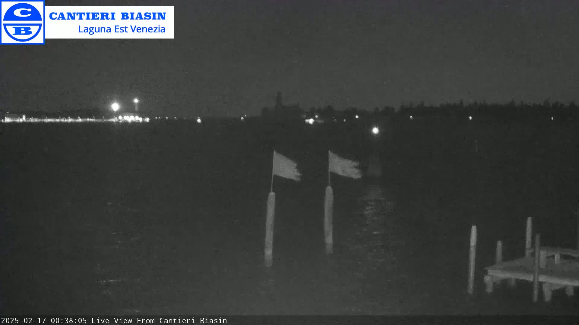 A nighttime view of a body of water with two flags on posts in the foreground and a dark shoreline with distant lights in the background.
