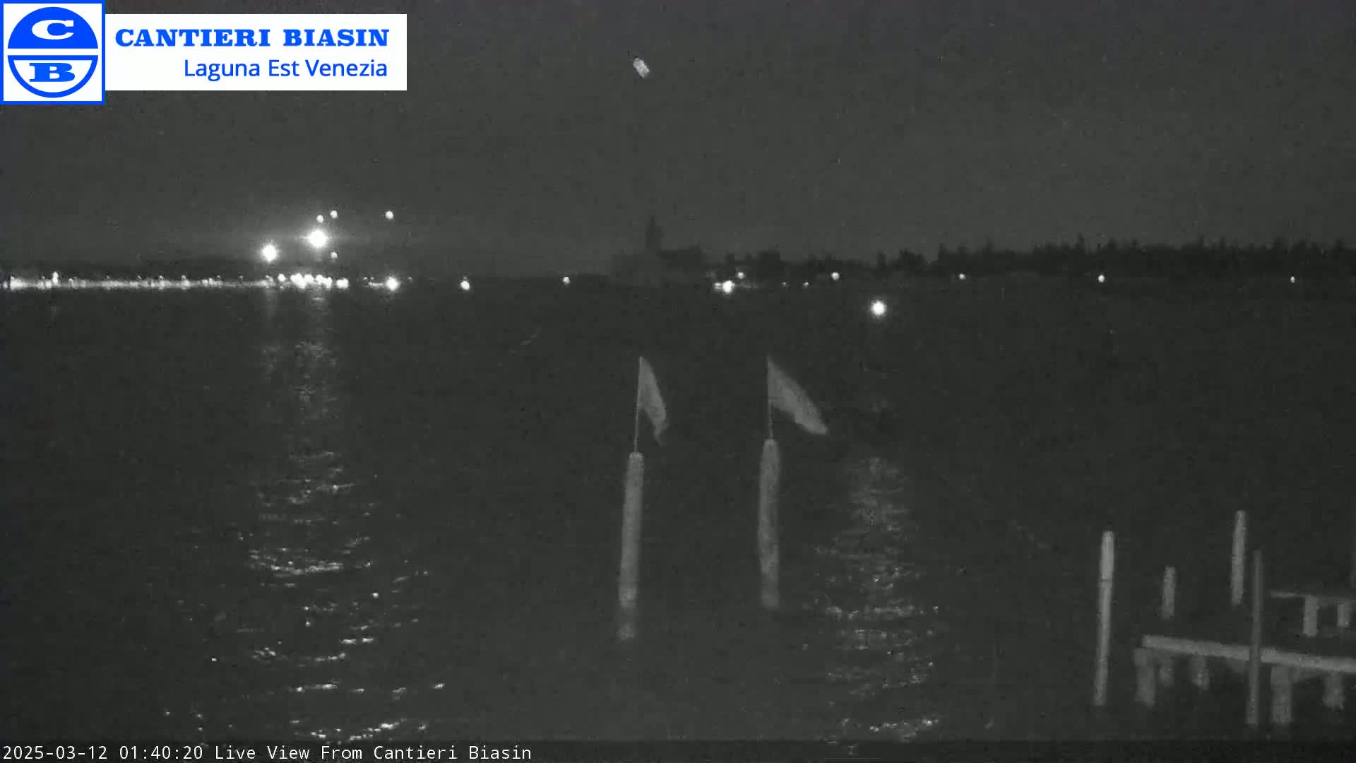 A nighttime view of dark water with two flags on poles and a distant shoreline with lights under a clear, dark sky.