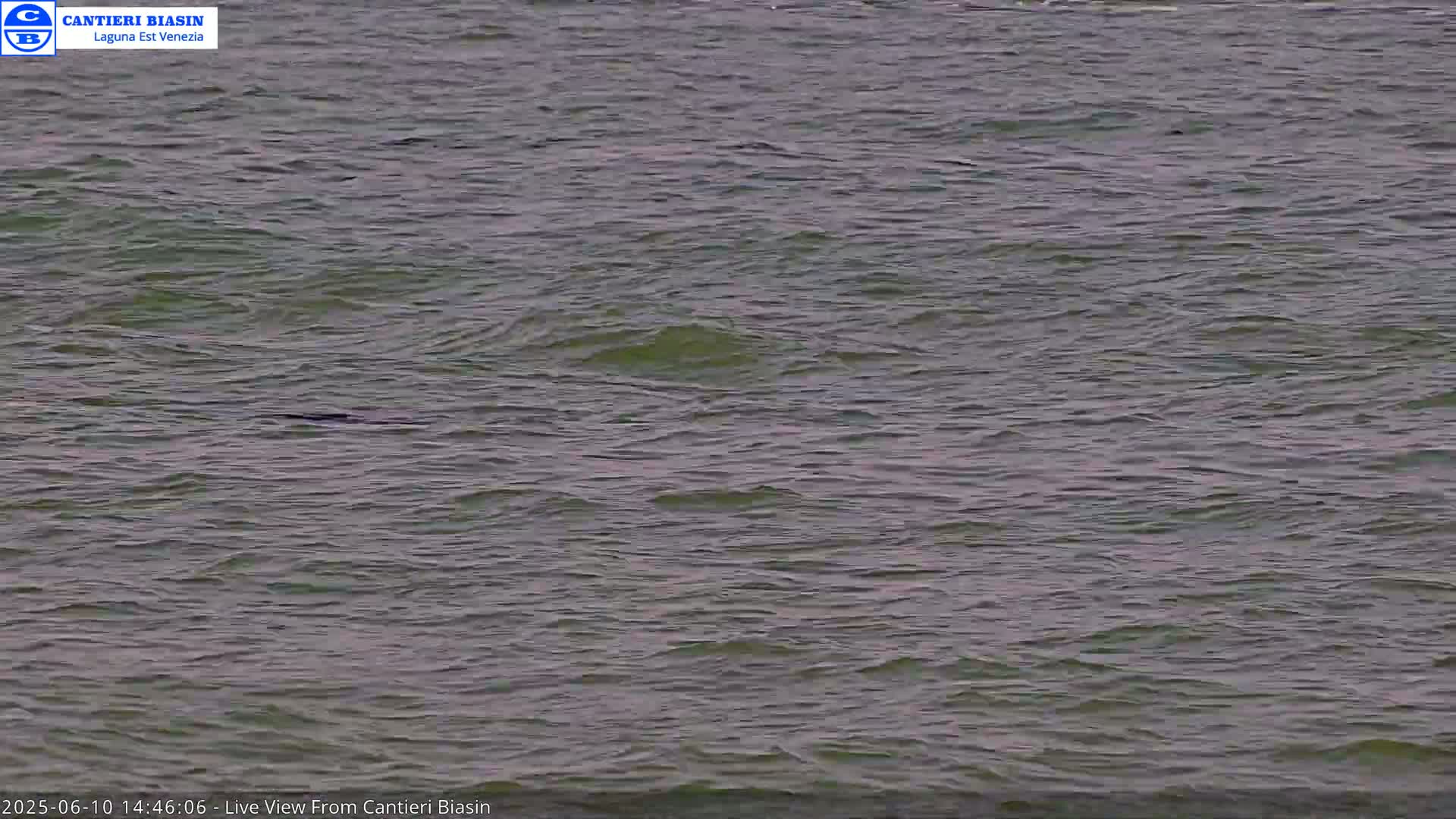 A body of dark, slightly choppy water is visible under an overcast sky.