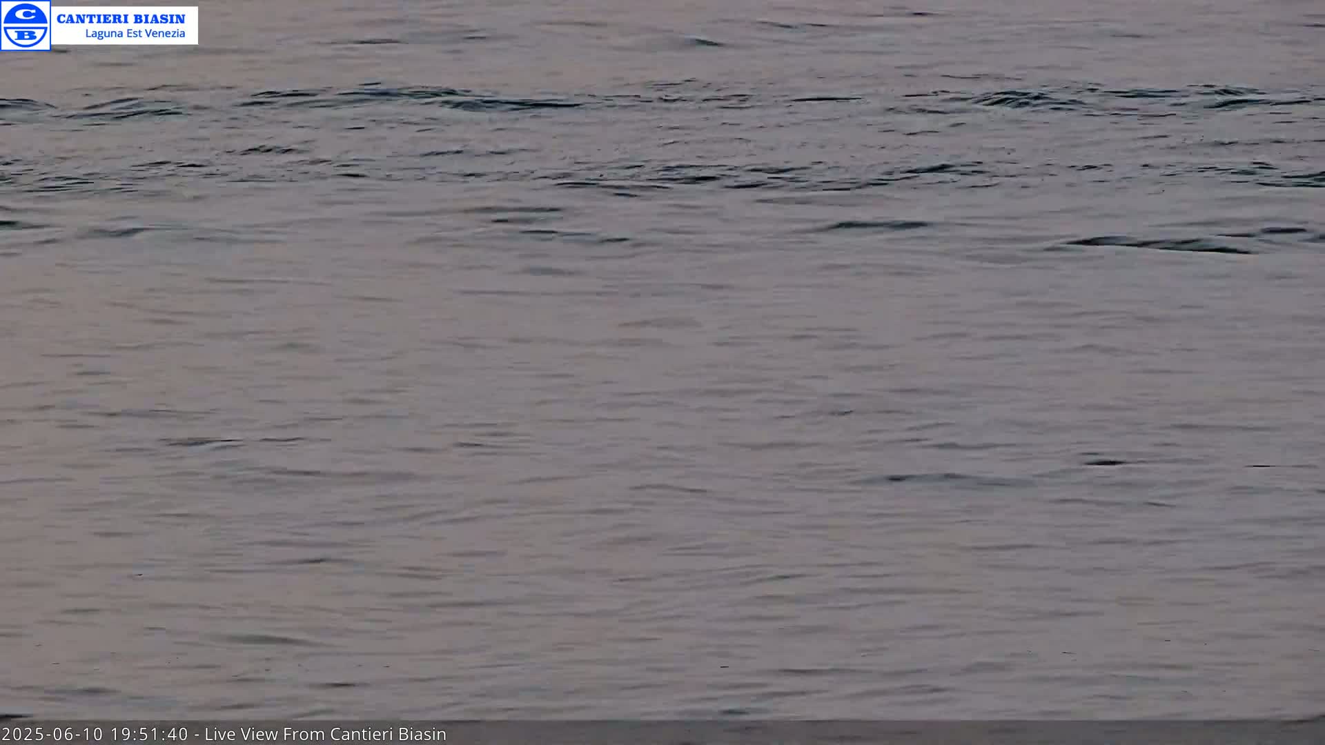 Calm, slightly rippled water is visible under a muted sky.