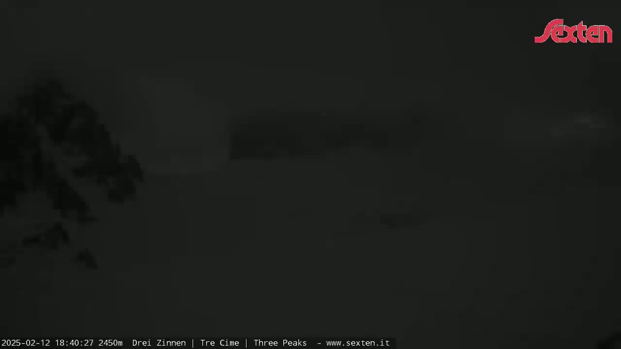 A dark, blurry image shows indistinct shapes that appear to be trees or shrubs under a heavily overcast sky.